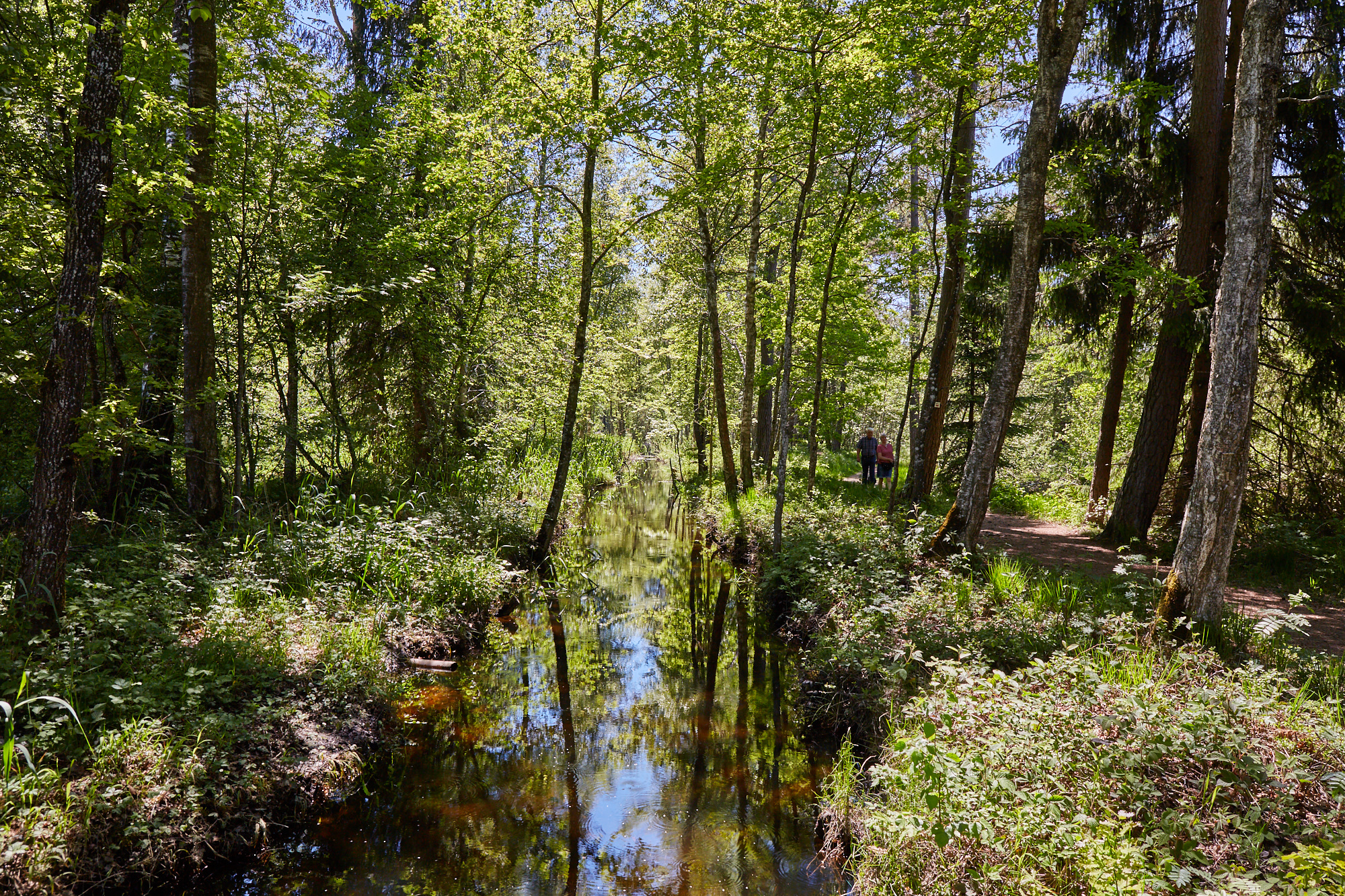 Wurzacher Ried
