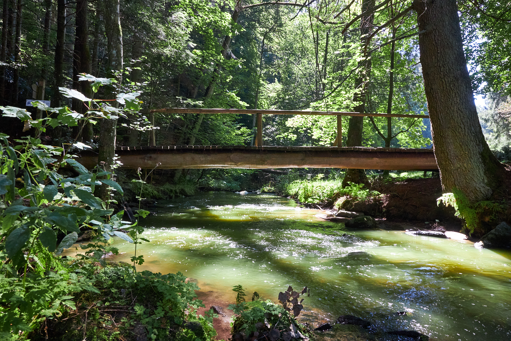 Höllenbachtal