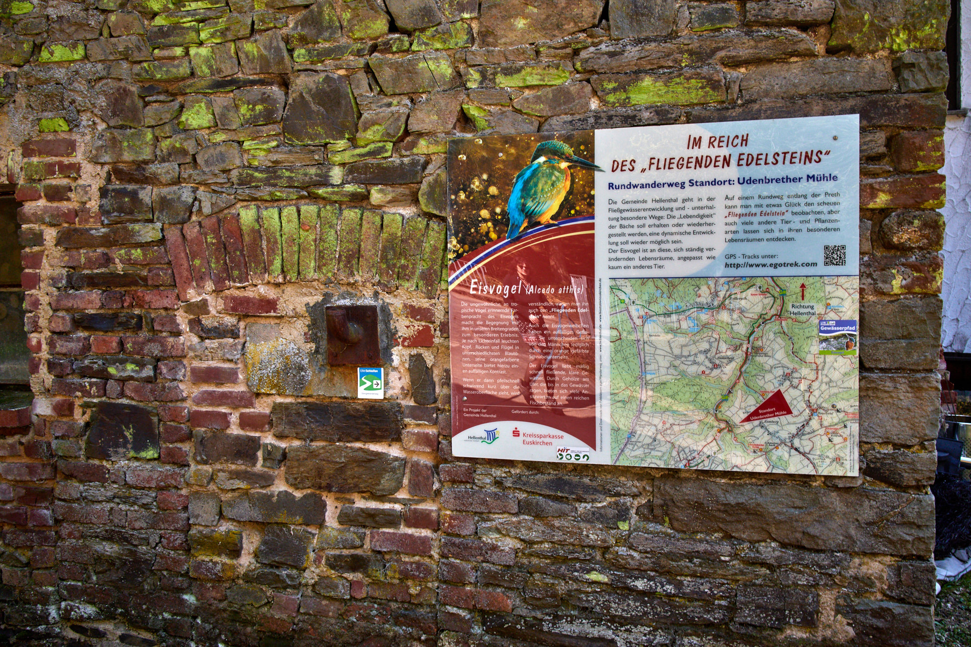 EifelSchleifen - Eisvogelwanderweg