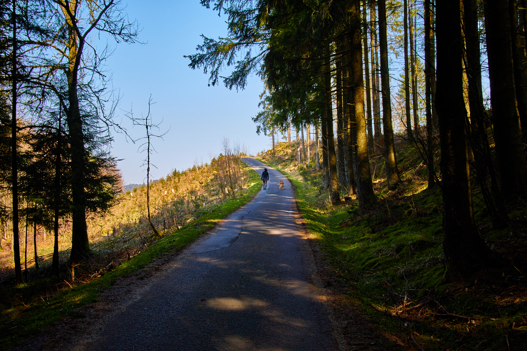 EifelSchleifen - Eisvogelwanderweg
