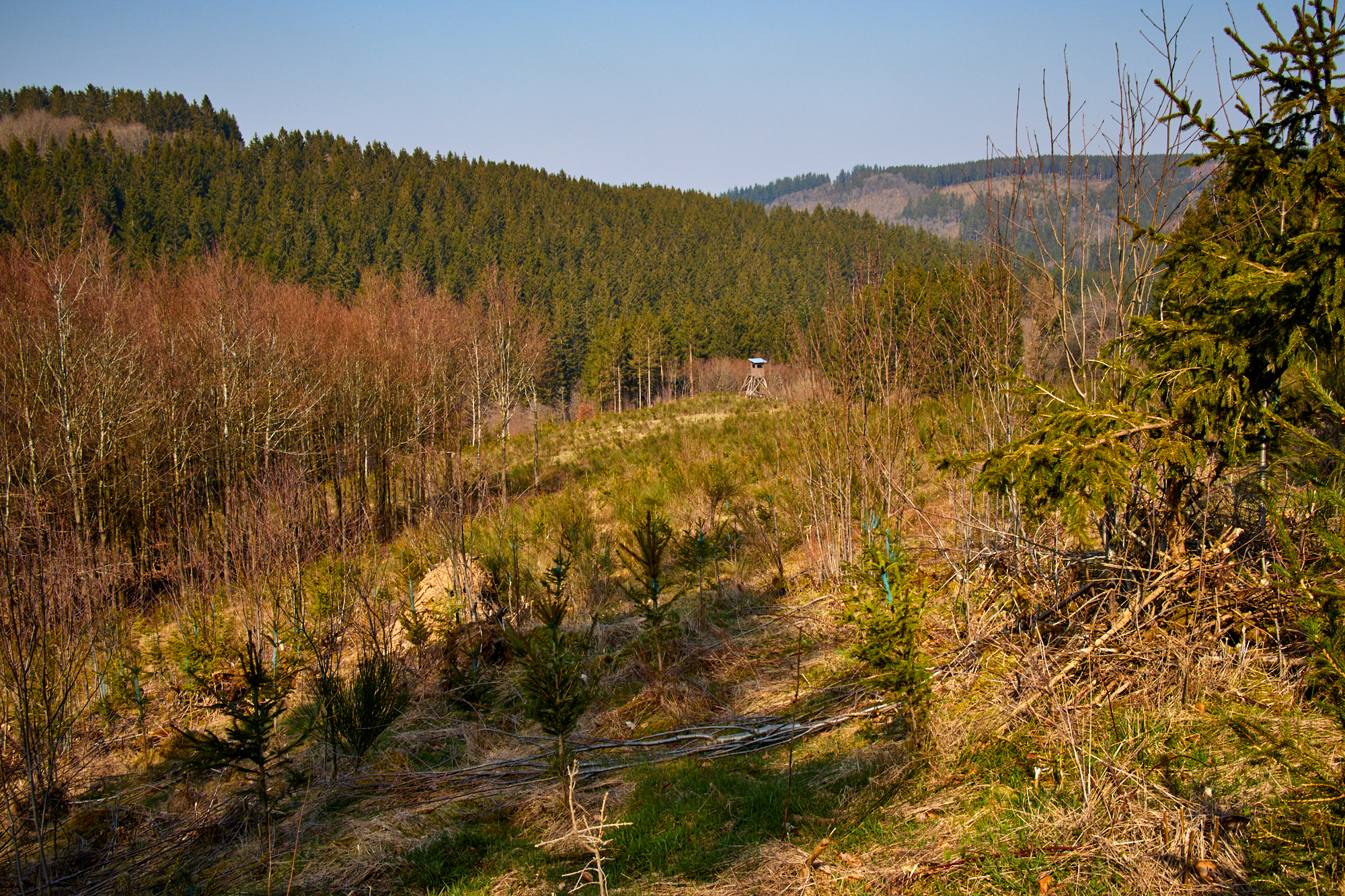 EifelSchleifen - Eisvogelwanderweg