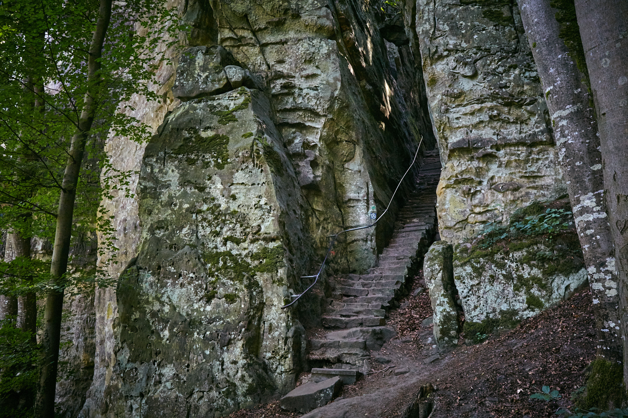 Ein Wanderwochenende in der Eifel - Zwischen Teufelsschlucht und Irrler