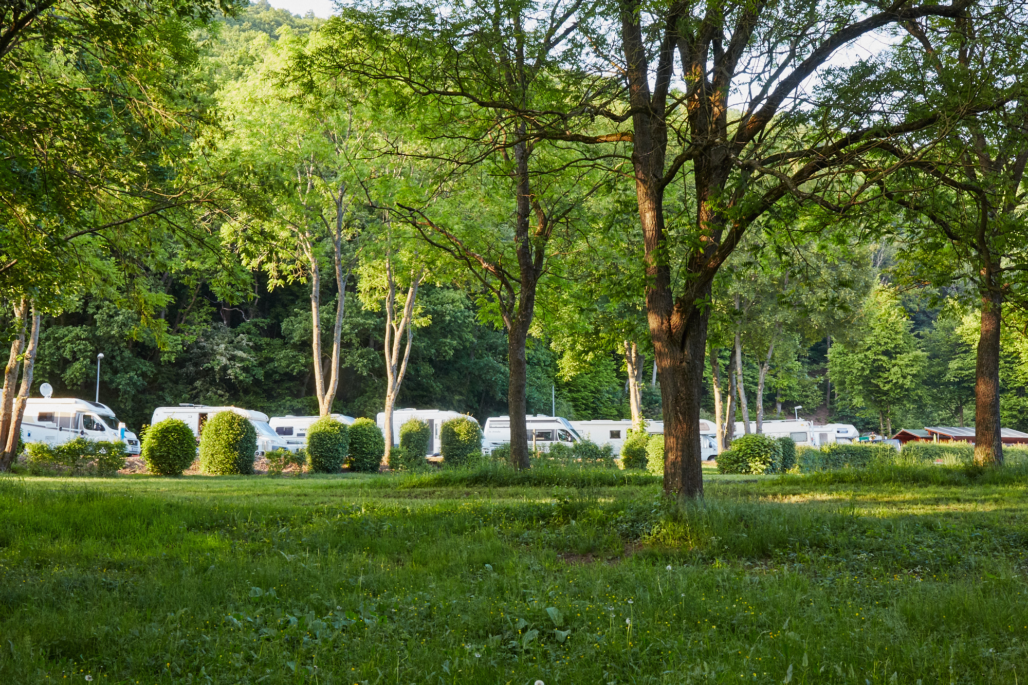 Stellplatz Schleiden Gemünd