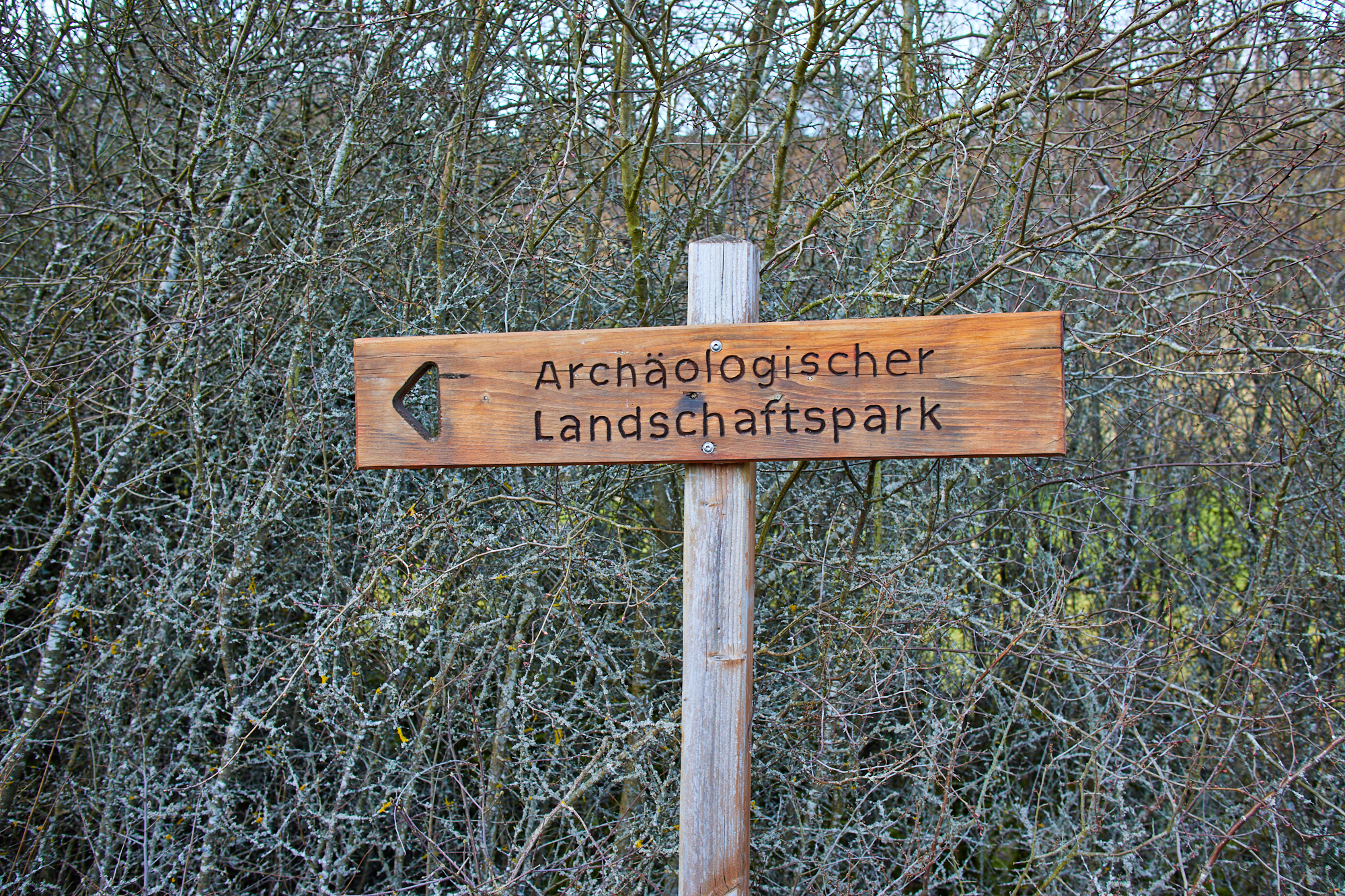 Nettersheim