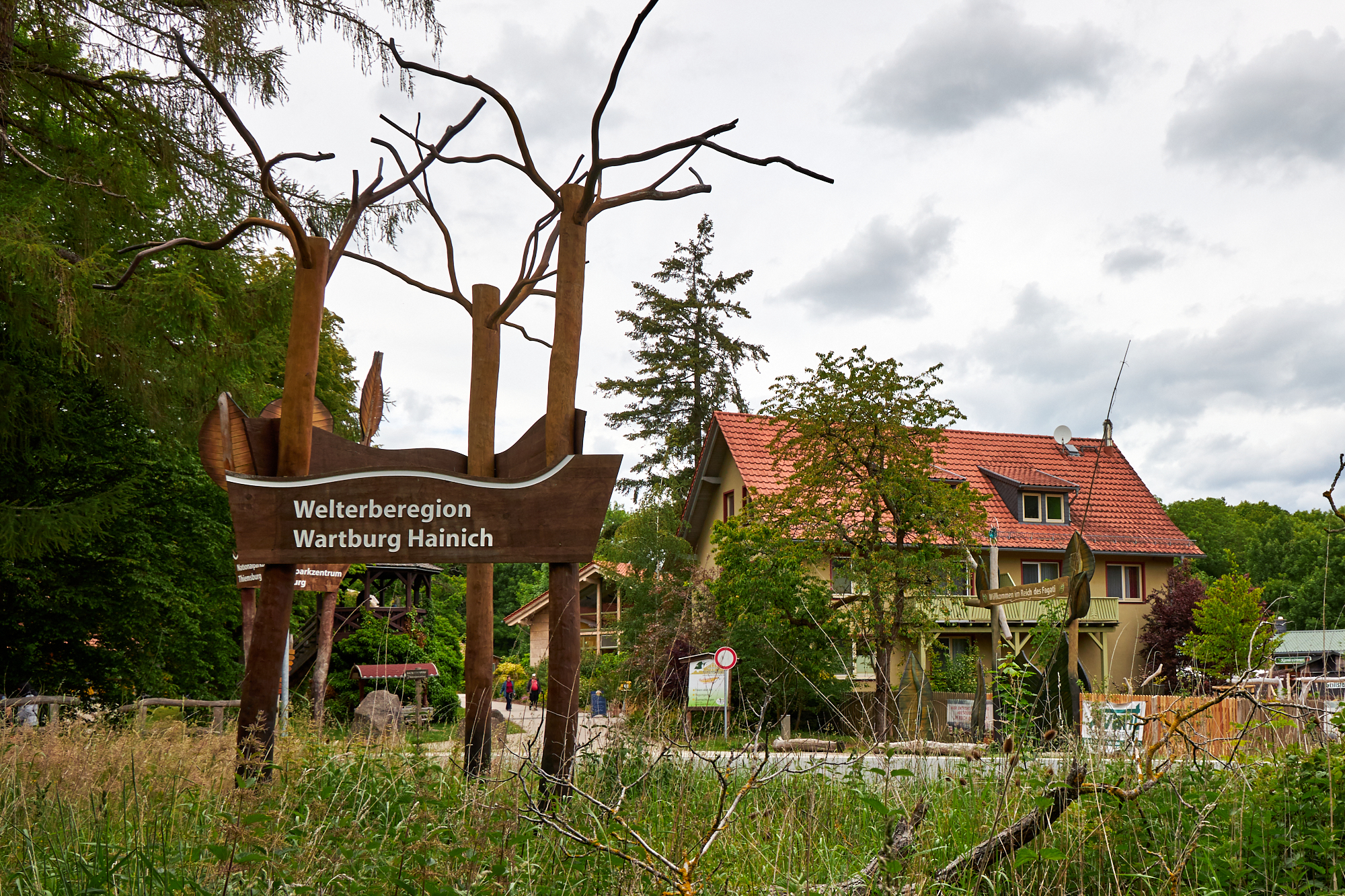 Baumkronenpfad Hainich