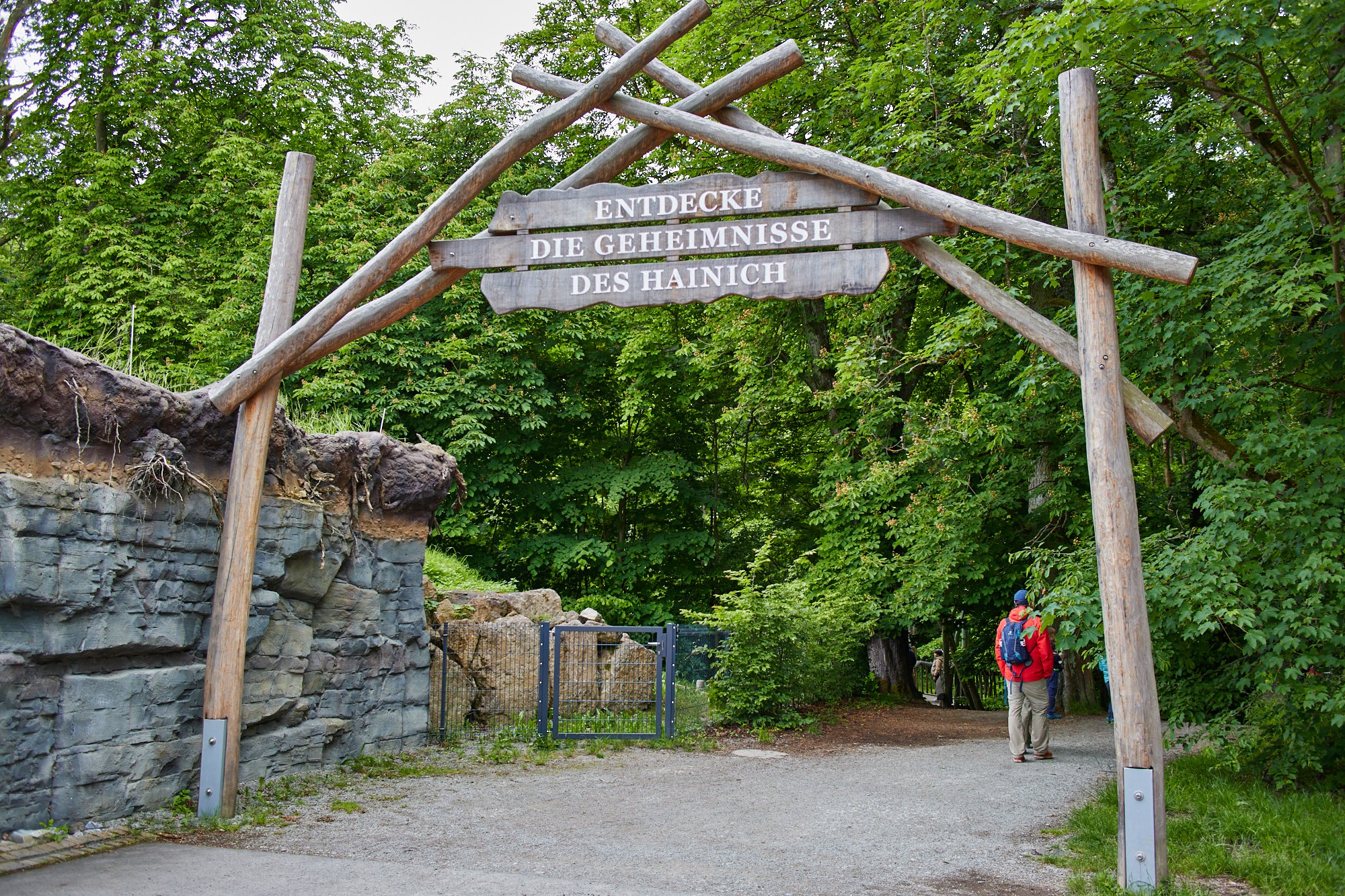 Baumkronenpfad NP Hainich
