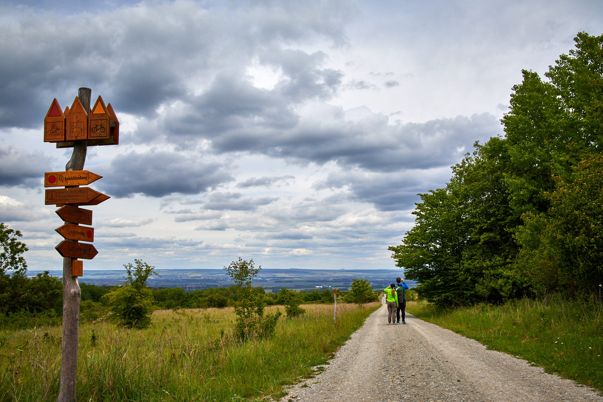 Hainich Betteleichenweg Hainich Betteleichenweg