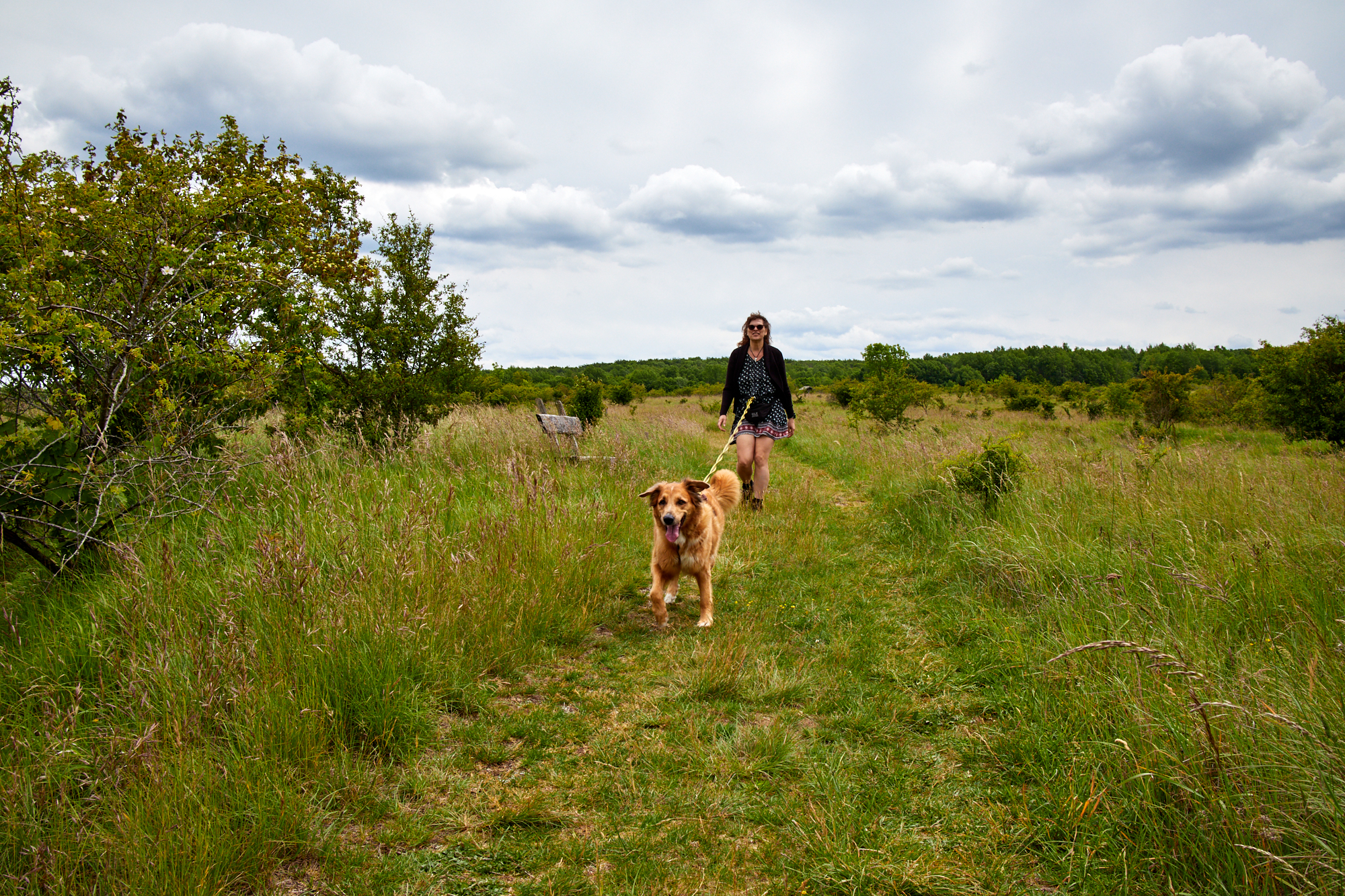 Hainich Betteleichenweg Hainich Betteleichenweg