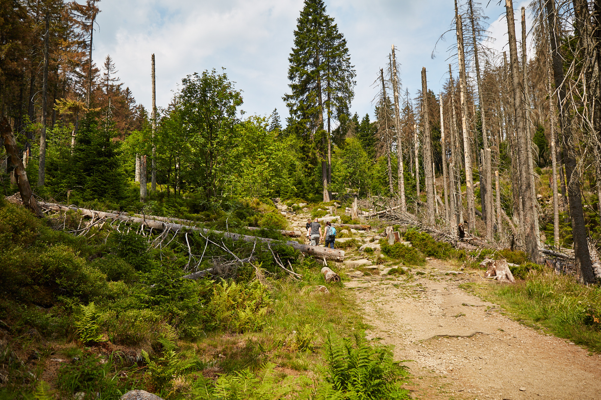 Brocken