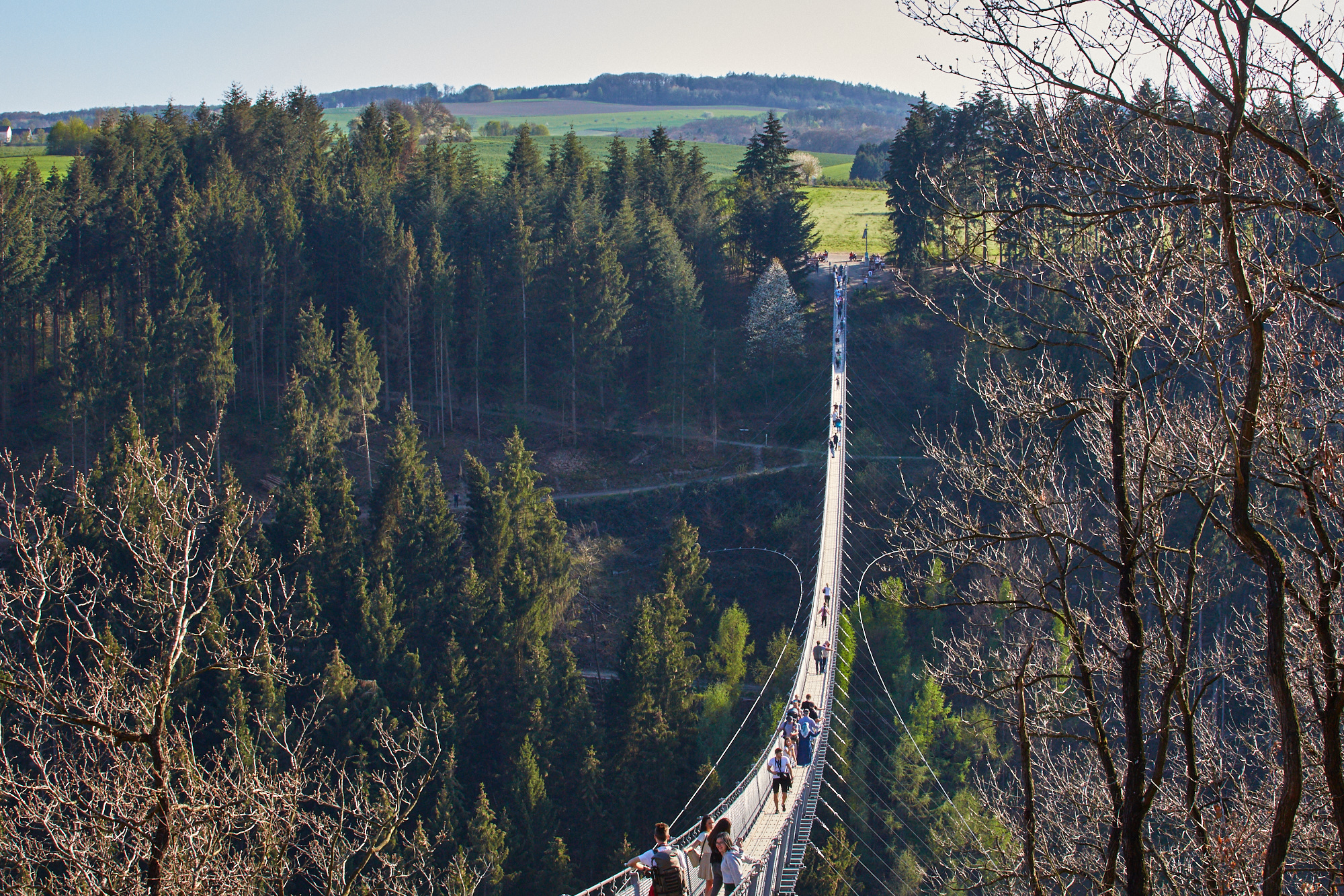 Hängeseilbrücke Geierlay bei Mörsdorf - Rundweg Geierlayschleife ...