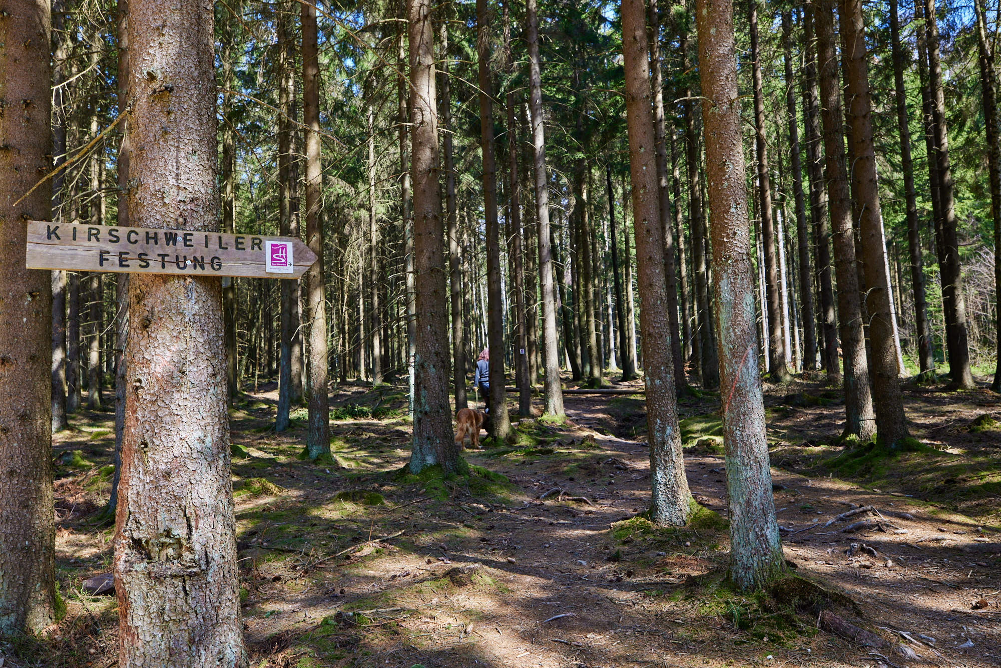 NP Hunsrück - Kirschweiler Festung Kirschweiler Festung