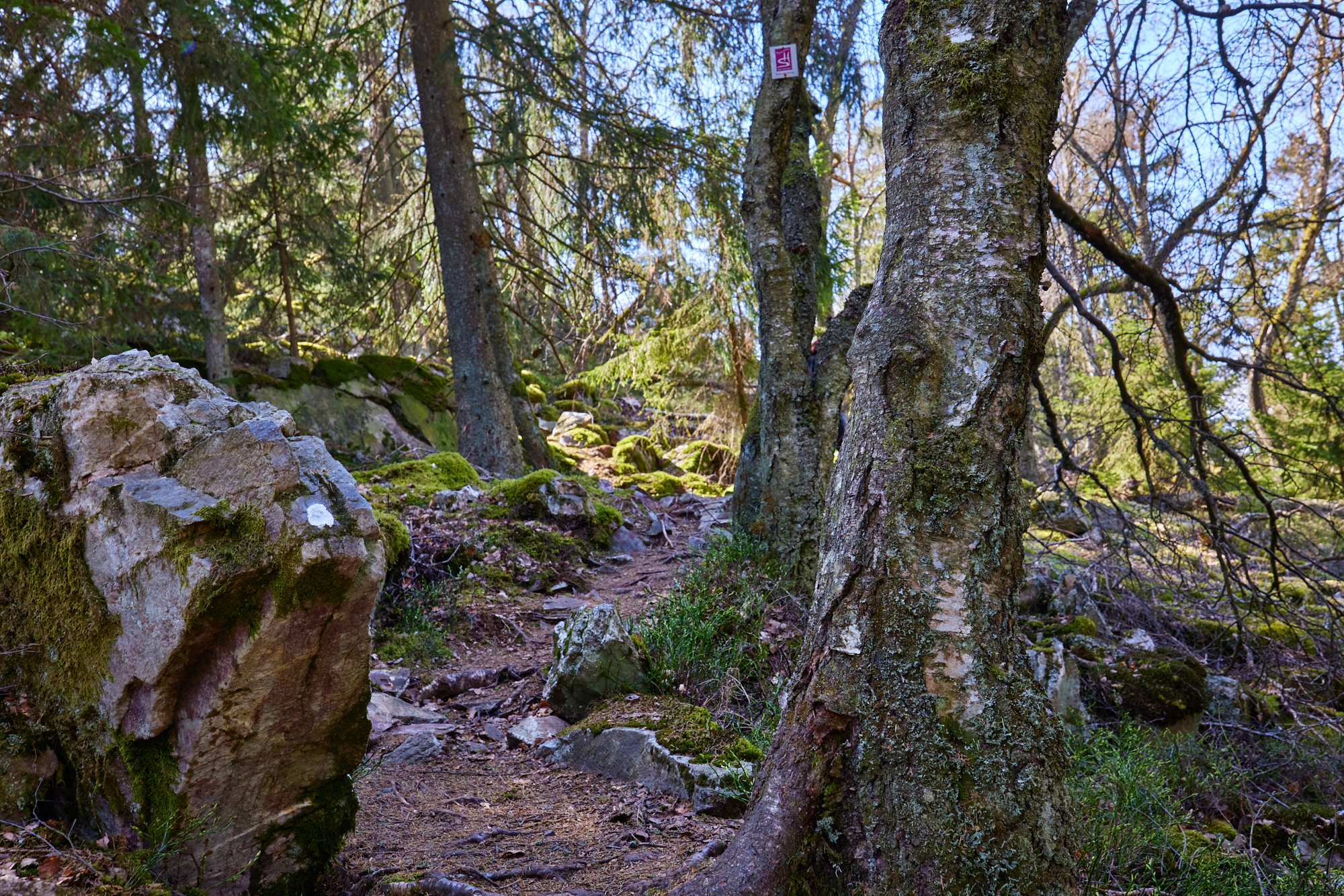 NP Hunsrück - Kirschweiler Festung Kirschweiler Festung