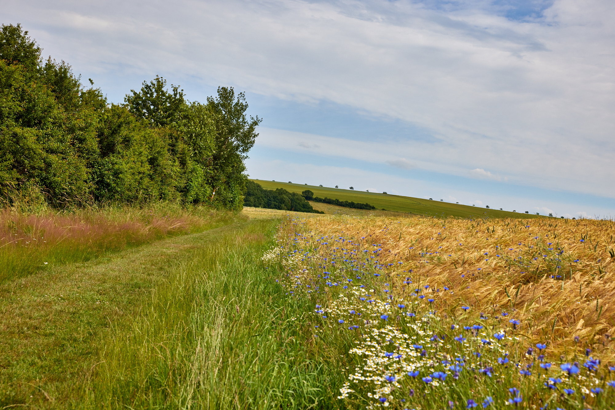 Soonwaldschleife Soonwaldschleife