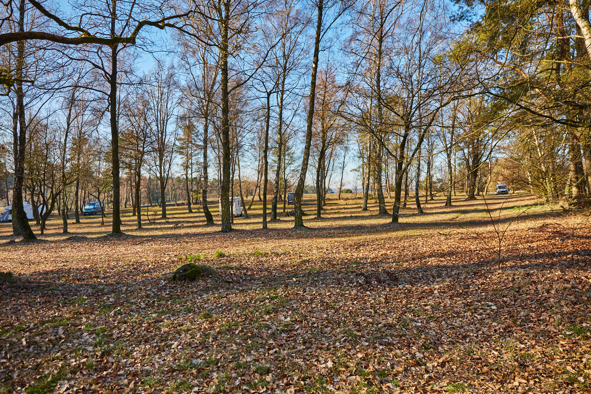 Stellplatz Oberhaverbeck Lüneburger Heide