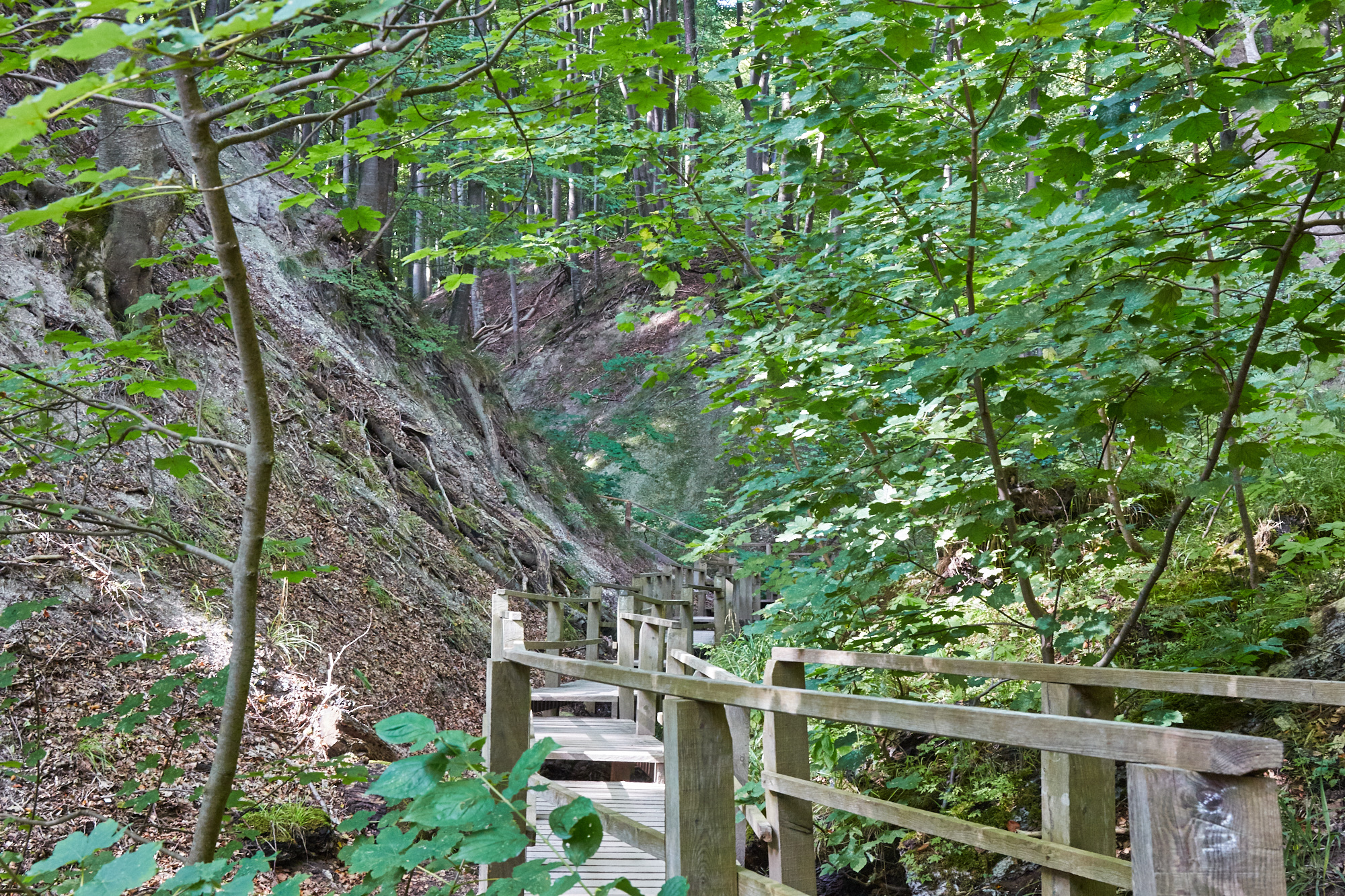 Nationalpark Jasmund