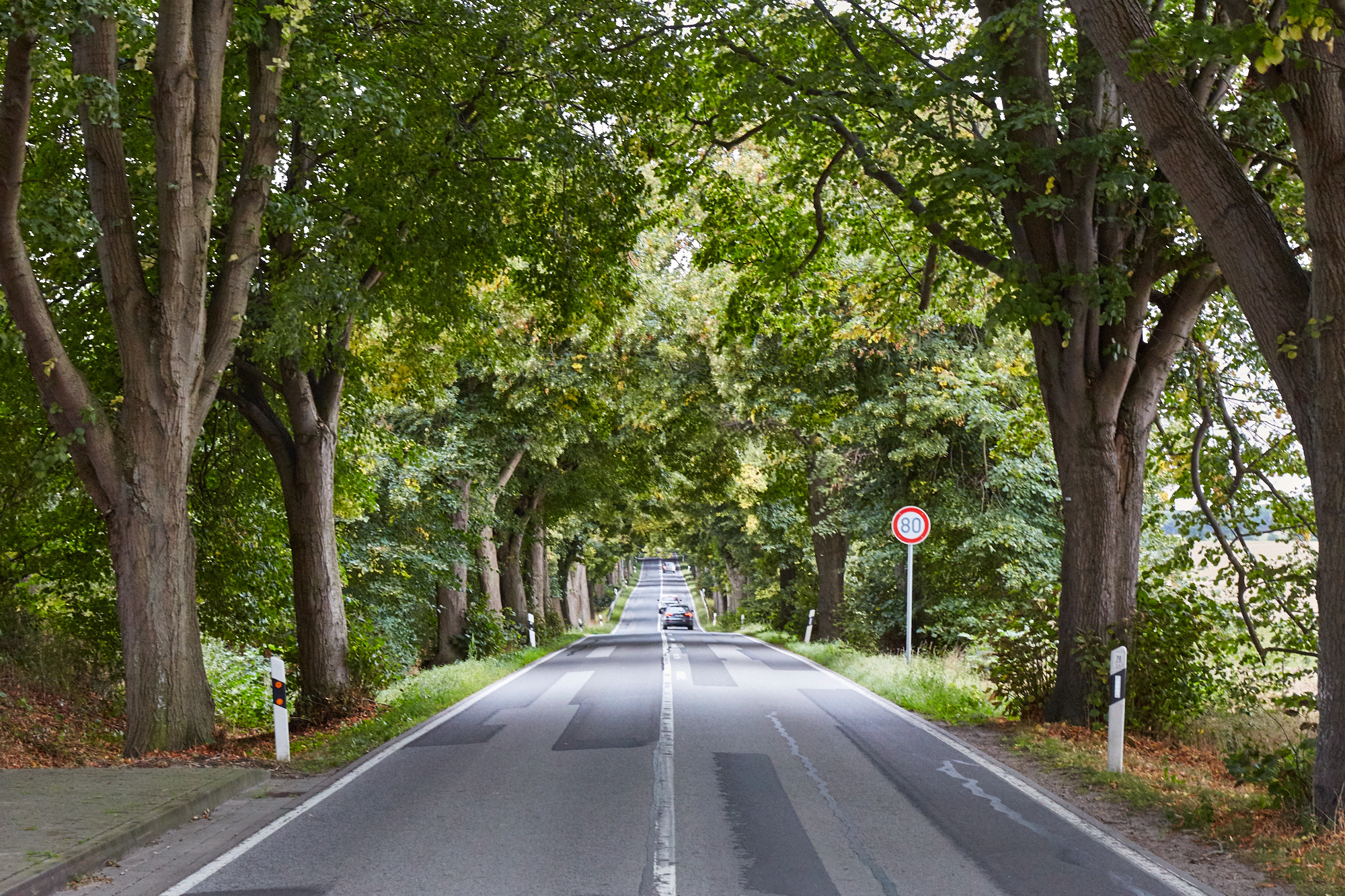 Deutsche Alleestraße