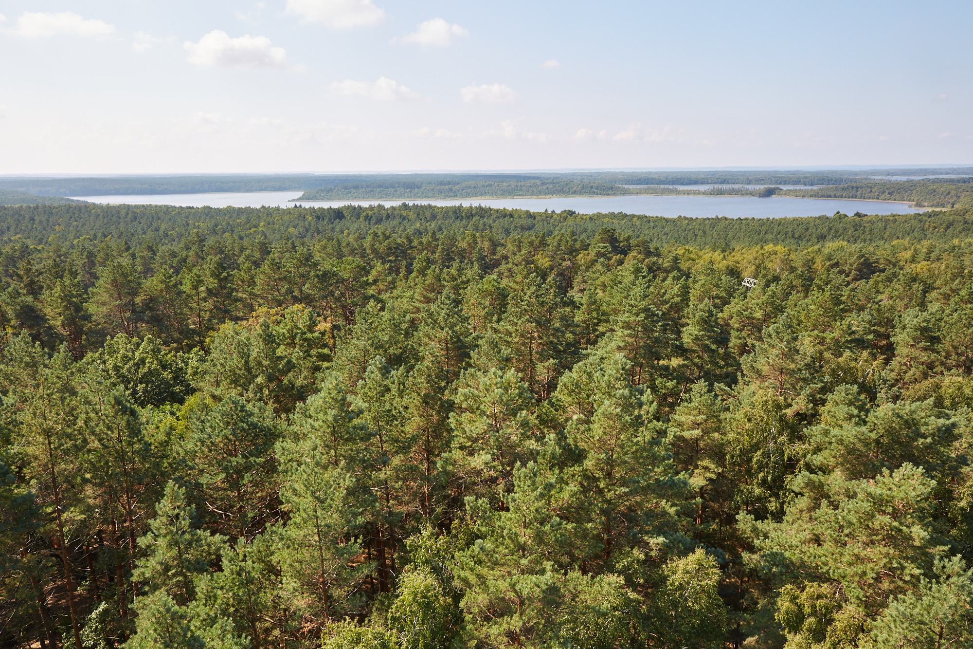 Nationalpark Müritz