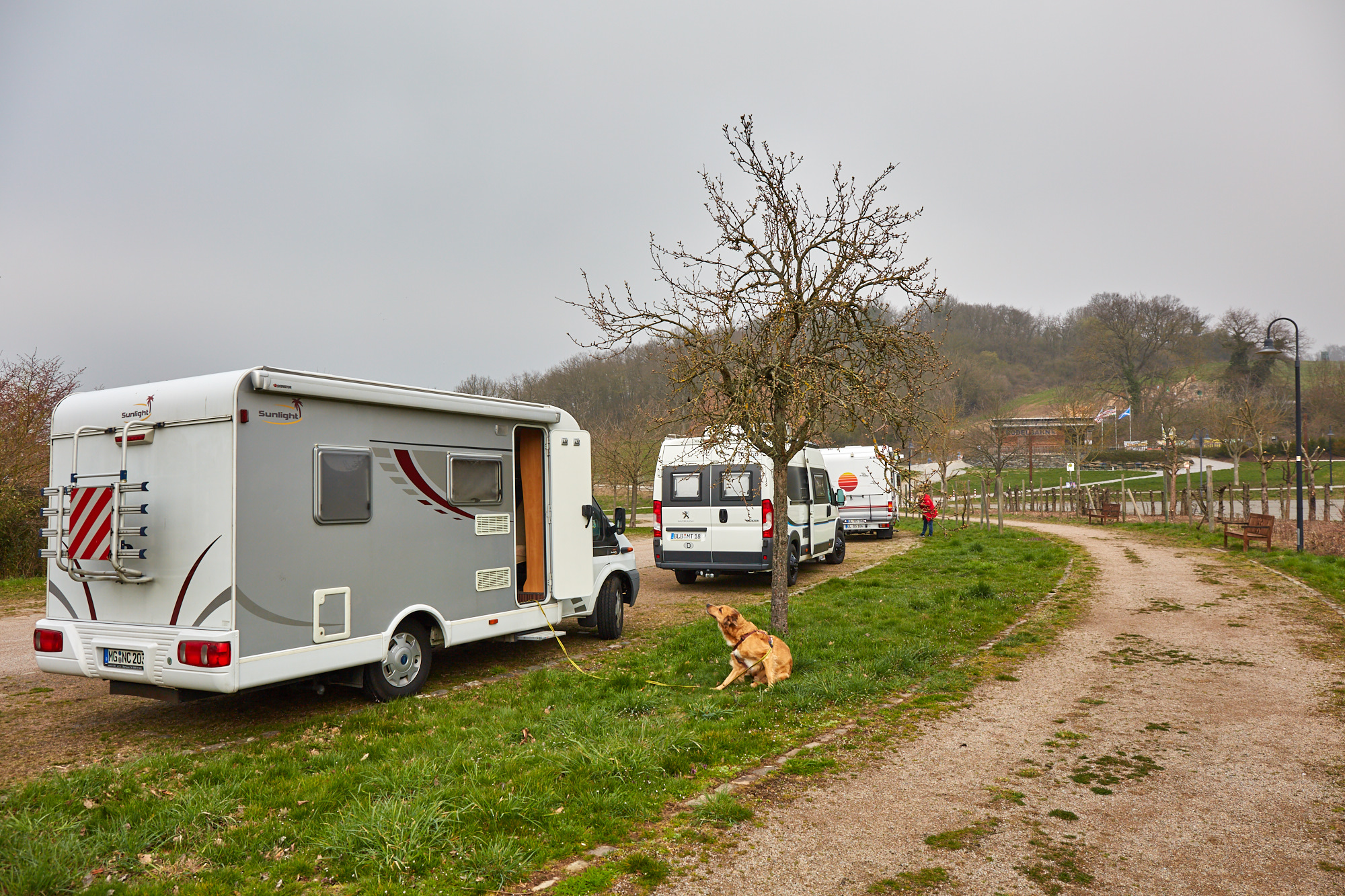 Stellplatz Loreley