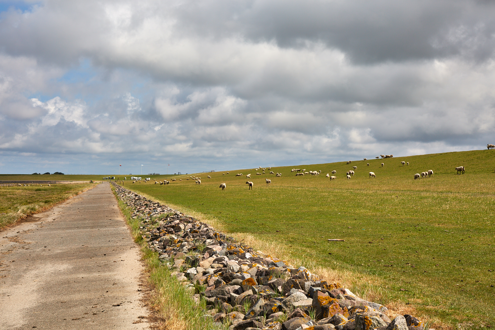 Nordstrand die Halbinsel Nordstrand in Nordfriesland deutschland