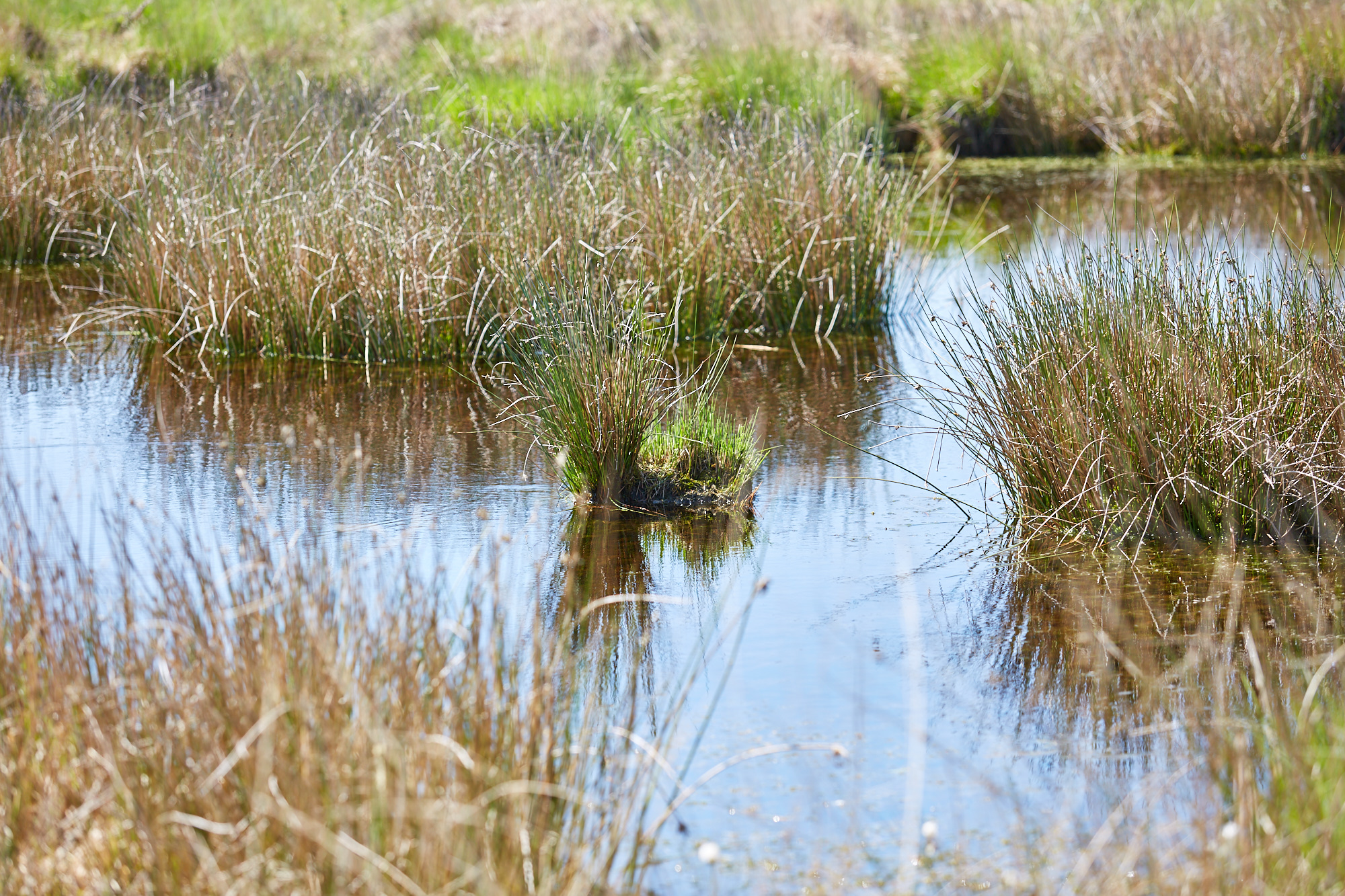 Ewiges Meer