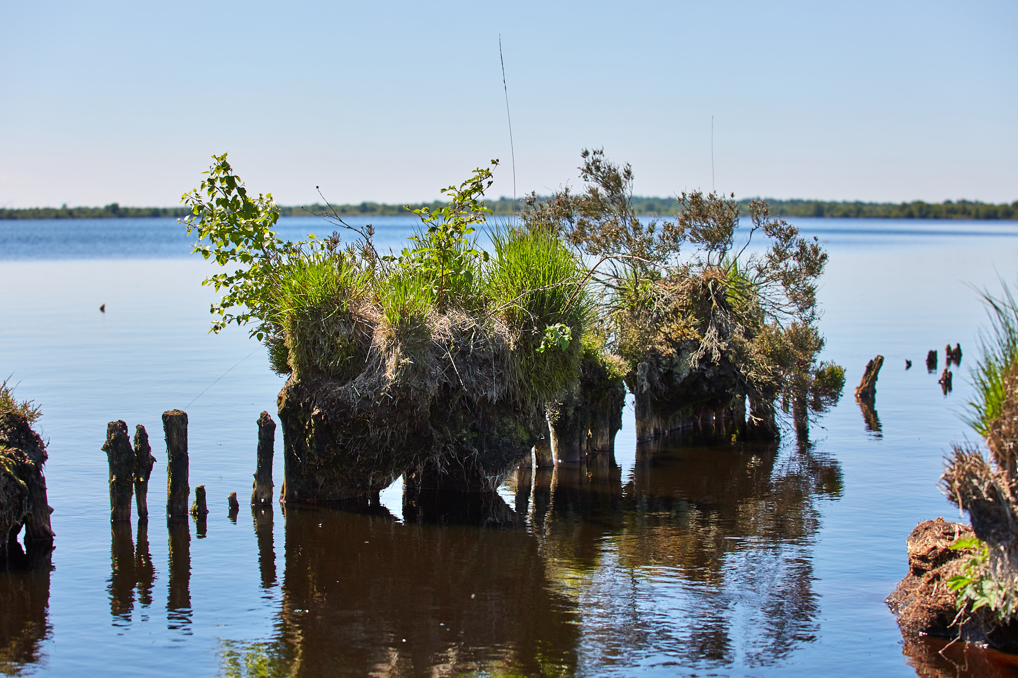 Ewiges Meer - der größte Hochmoorsee Deutschlands | https://deutschland ...
