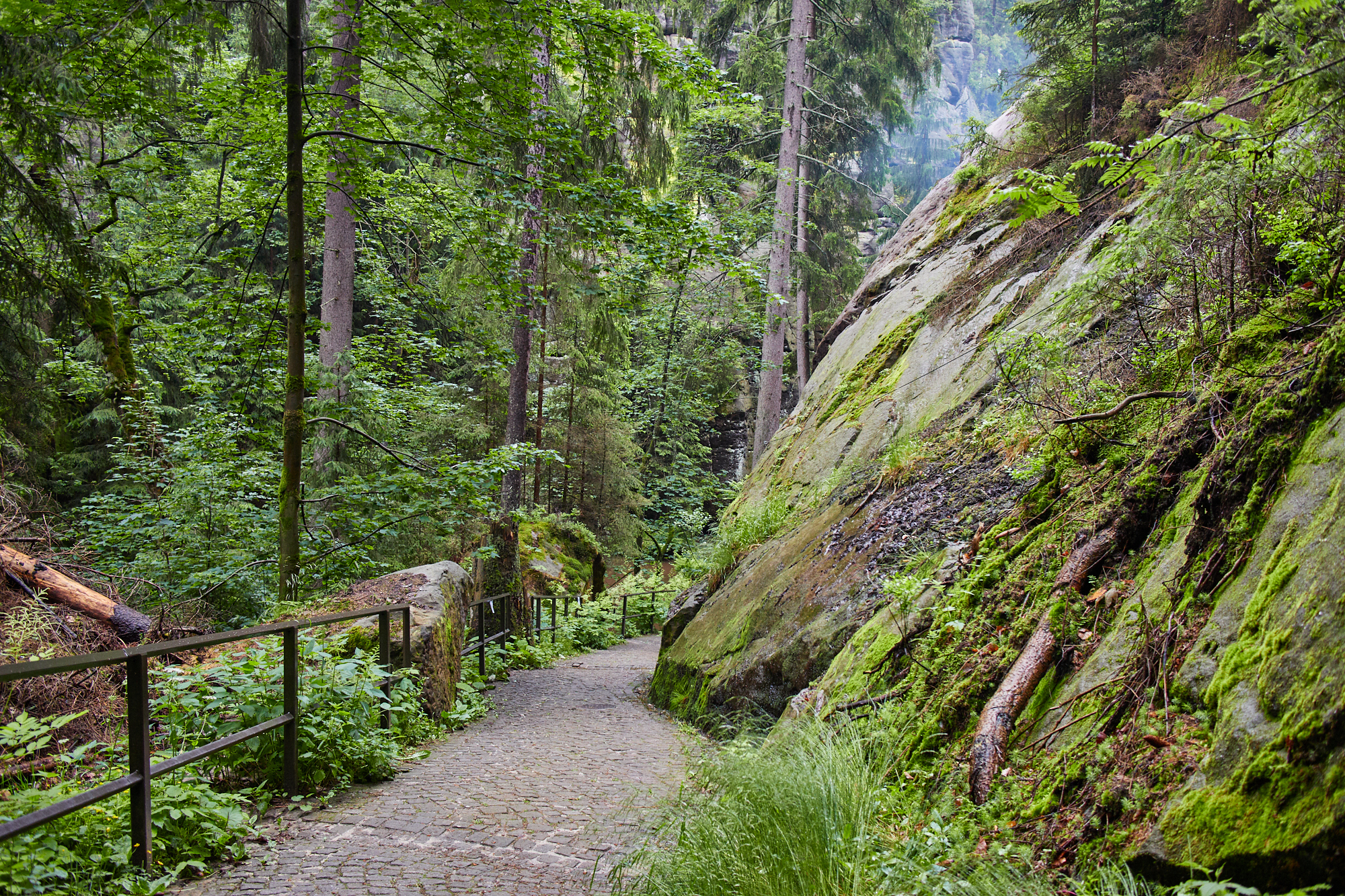 Krinitschklamm
