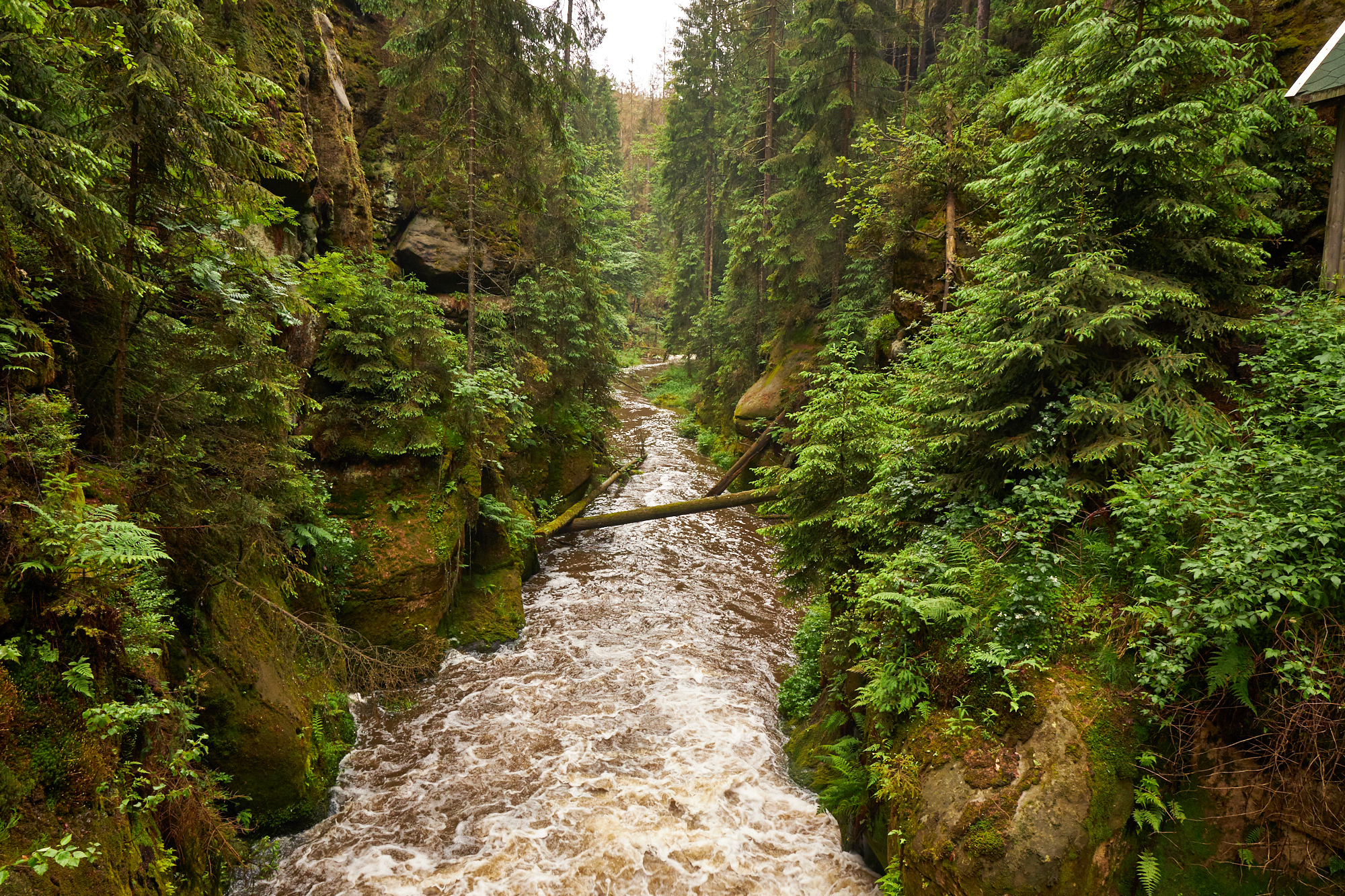 Krinitschklamm