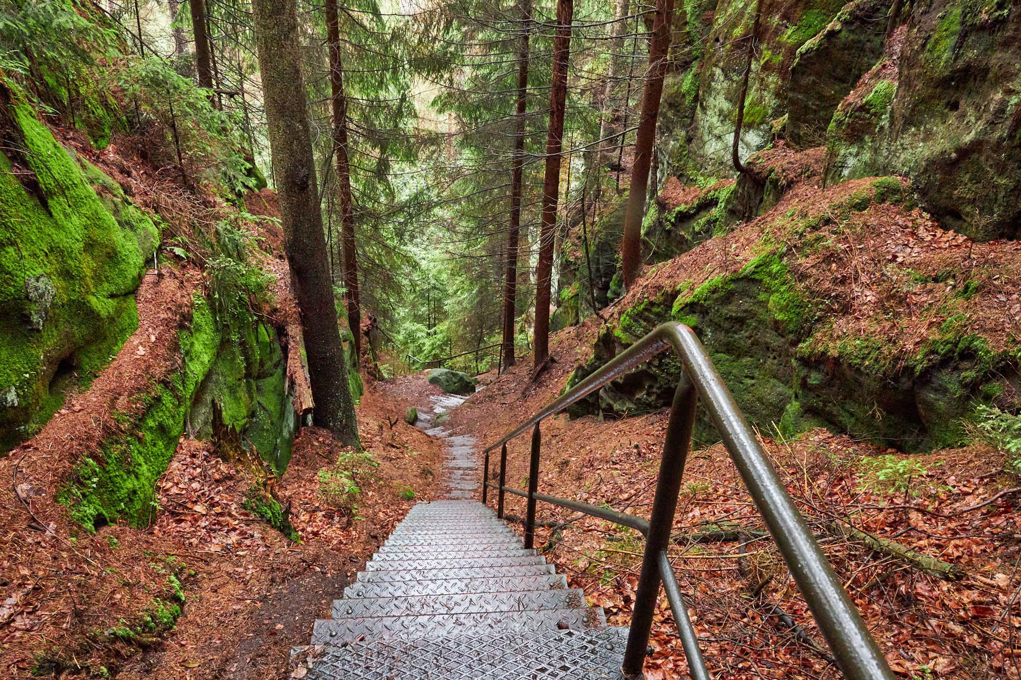 Krinitschklamm