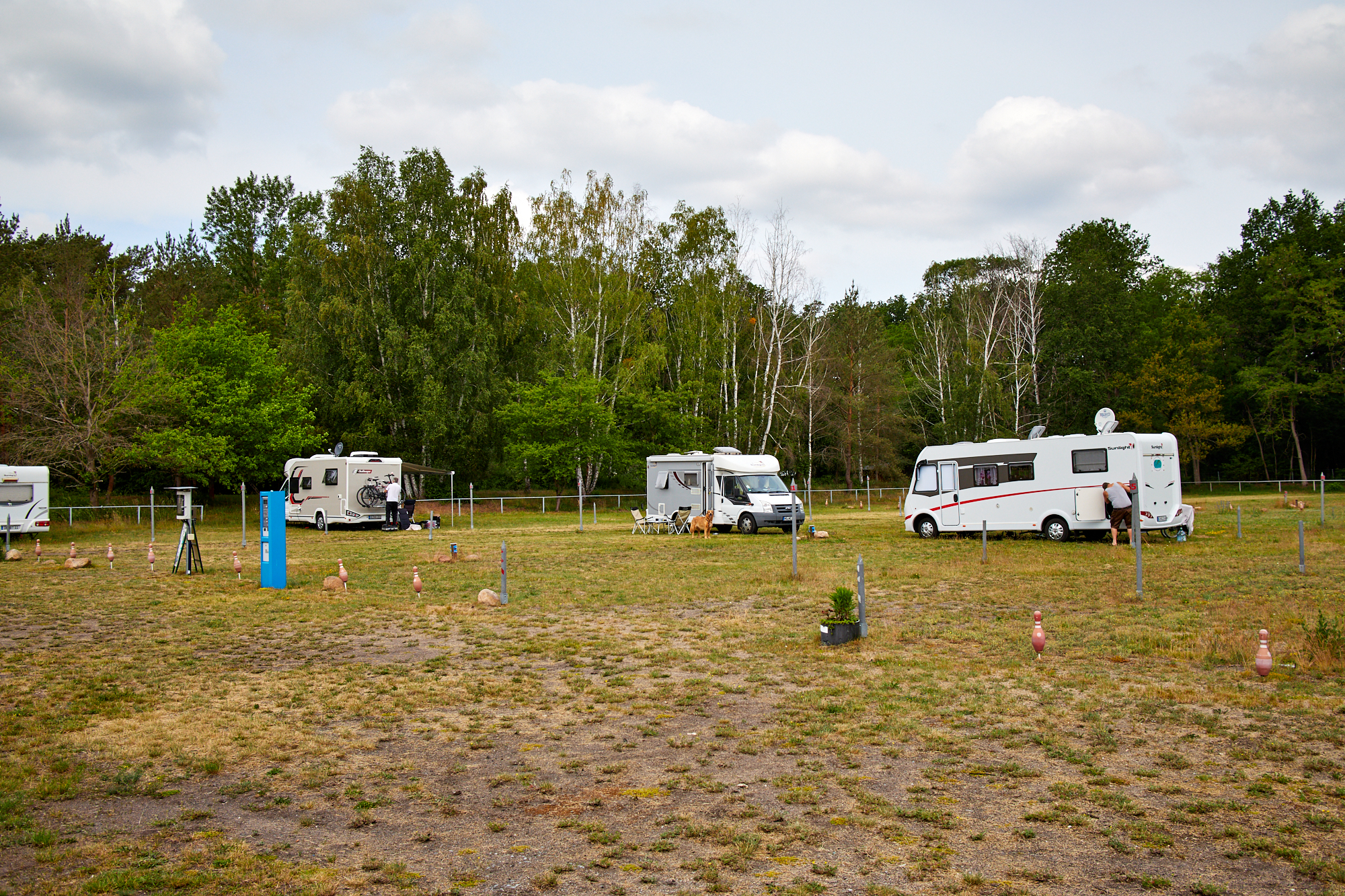 Stellplatz Rosslau