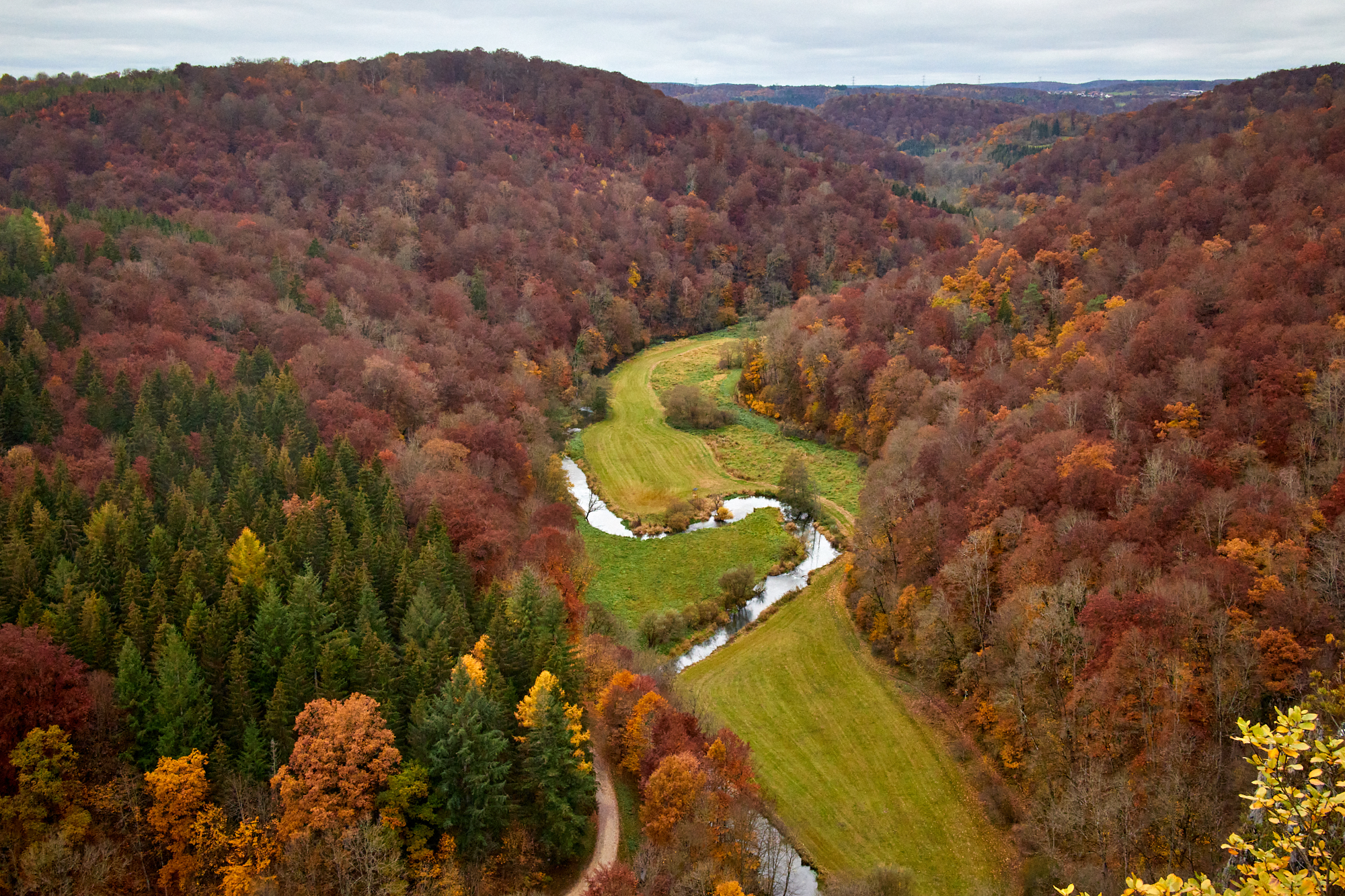 hochgelautert hochgelautert