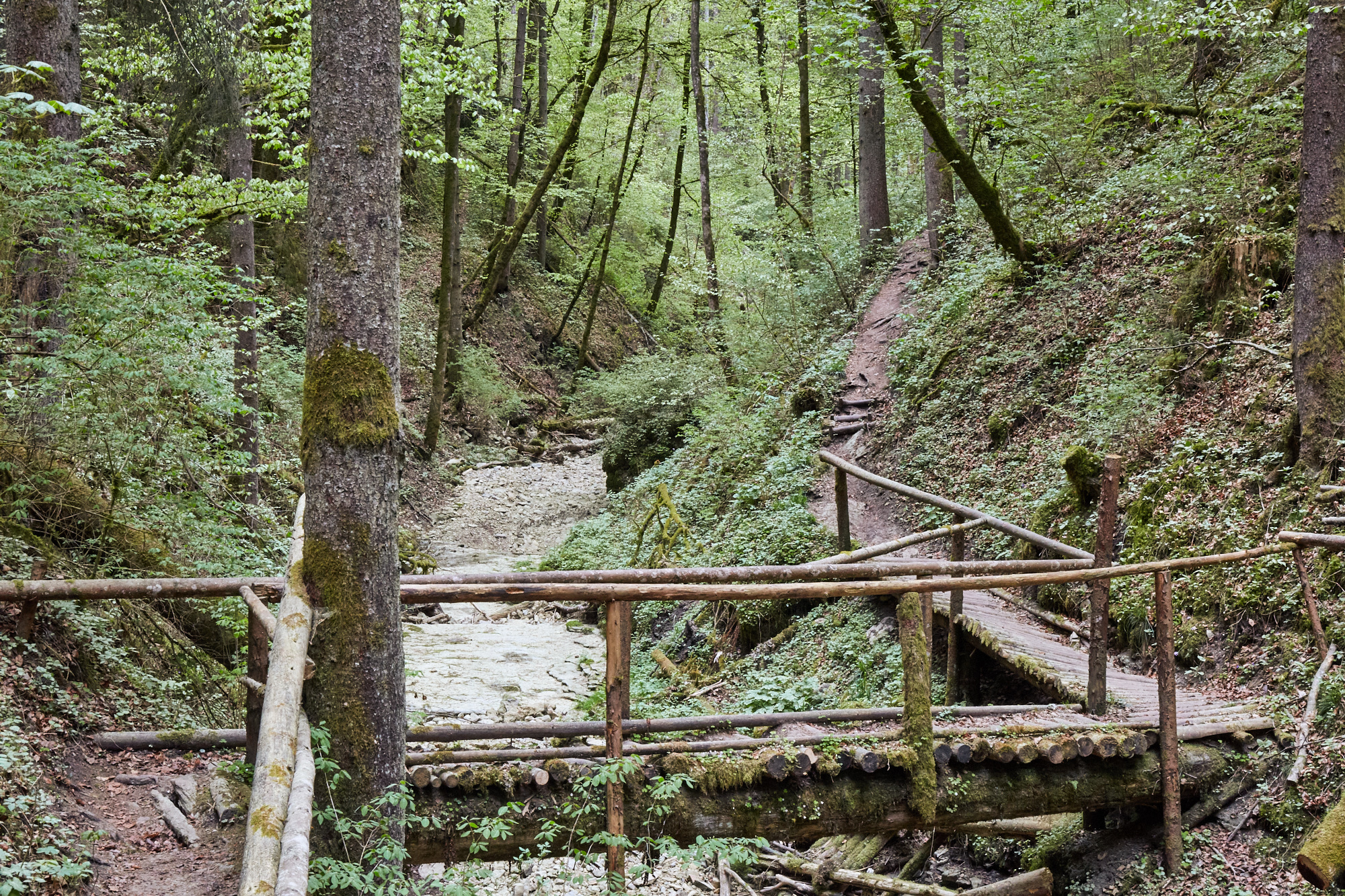 Gauchach
