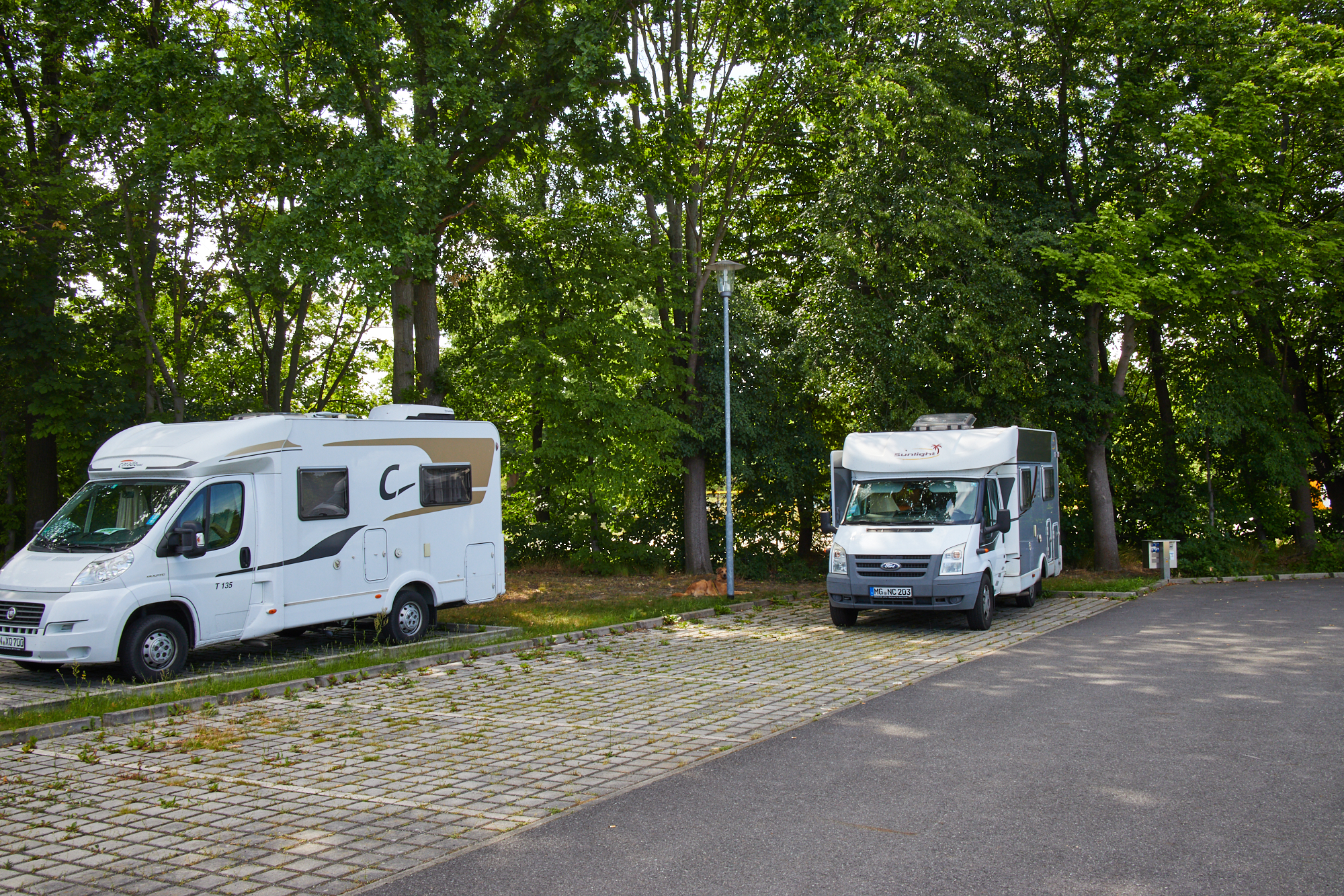 Spreewald