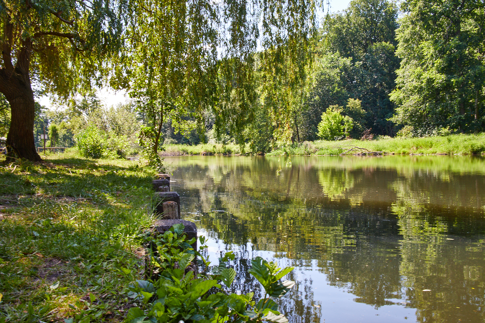 Petkamsberg - Unterspreewald