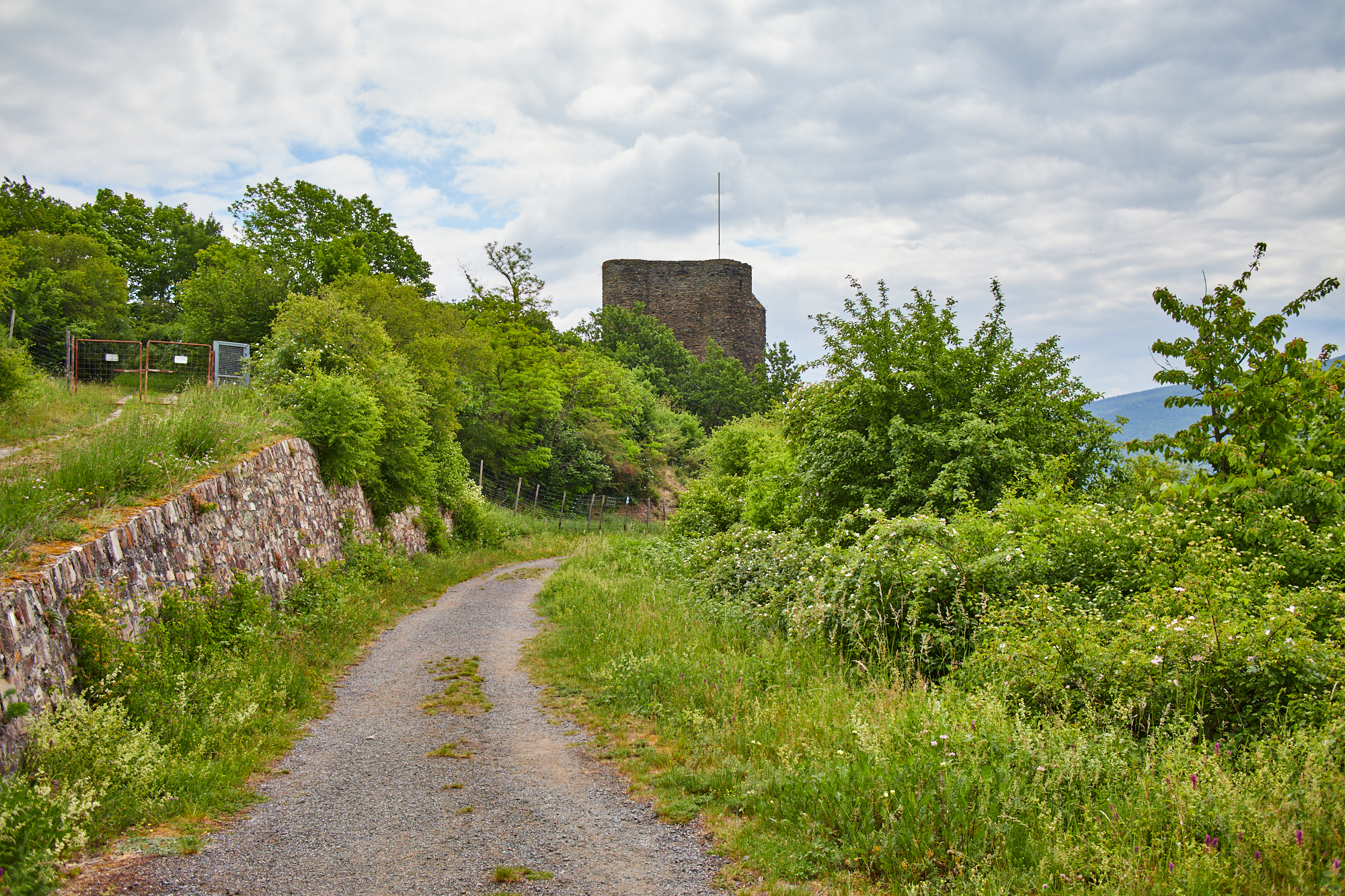 Wisper Trail: Rhein-Wisper-Glück