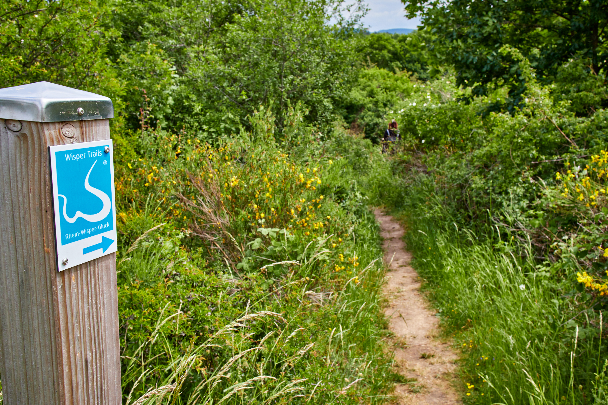 Wisper Trail: Rhein-Wisper-Glück