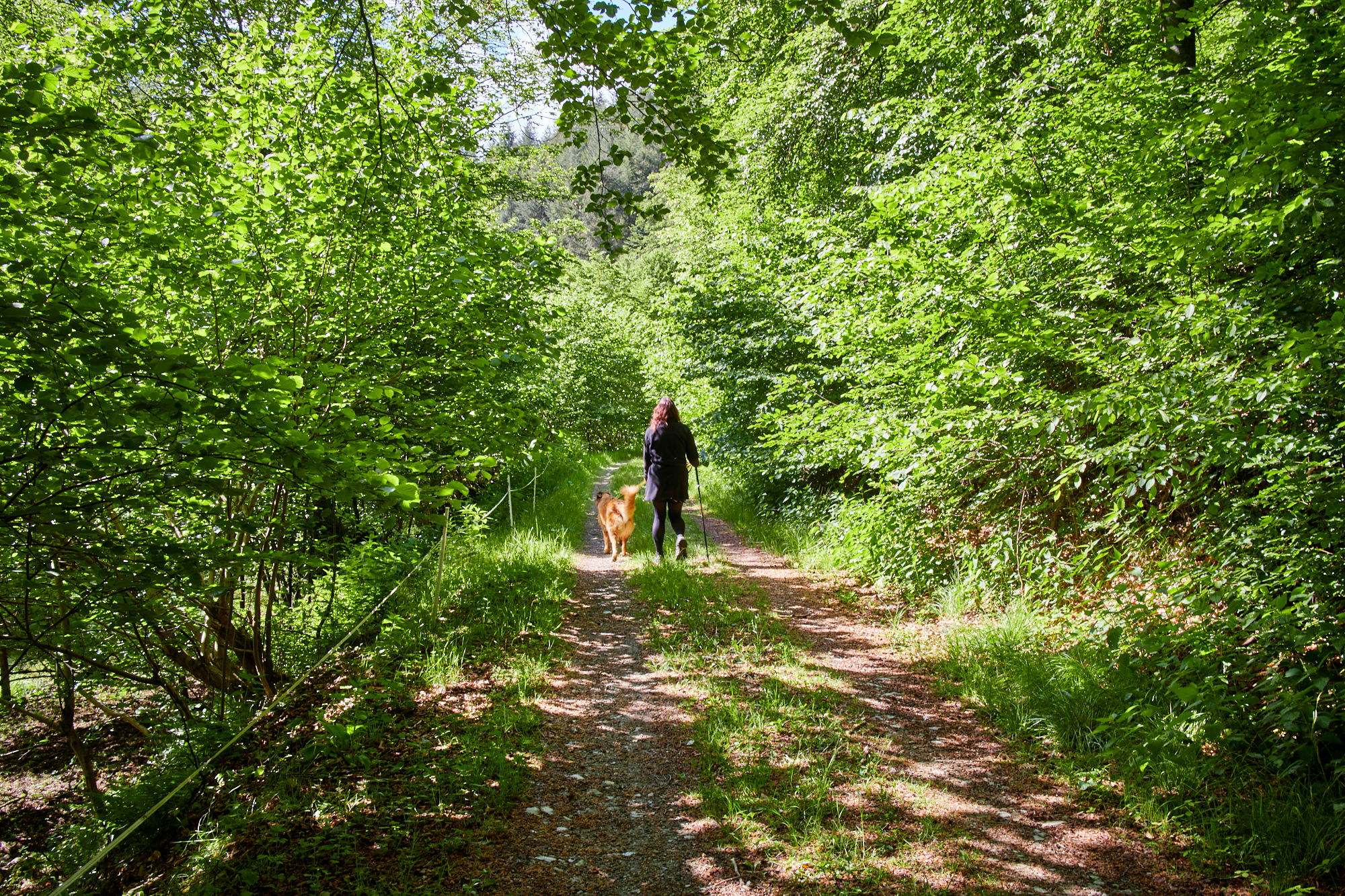 Wisper Trails - Im Wisper Outback