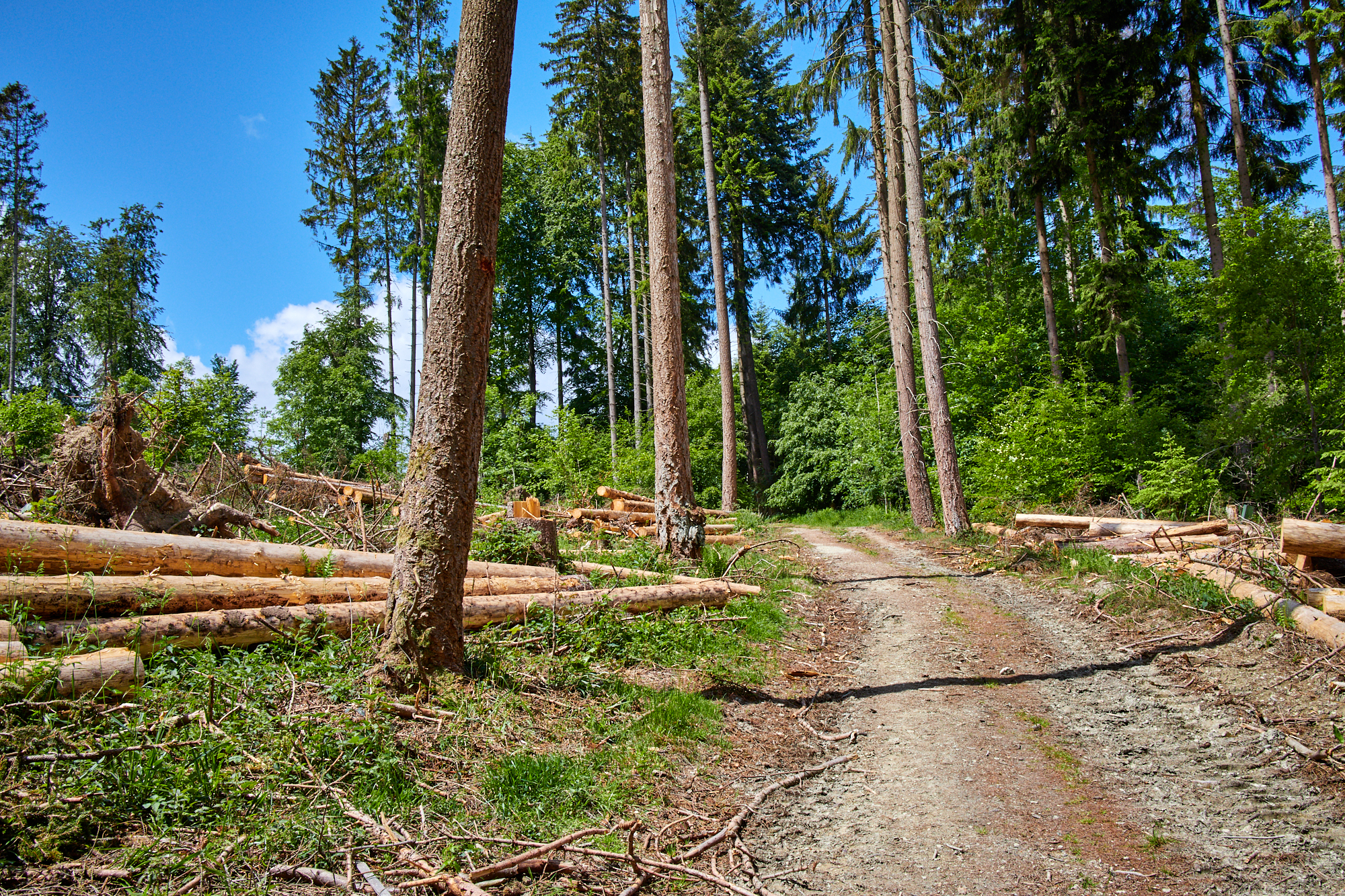 Wisper Trails - Im Wisper Outback