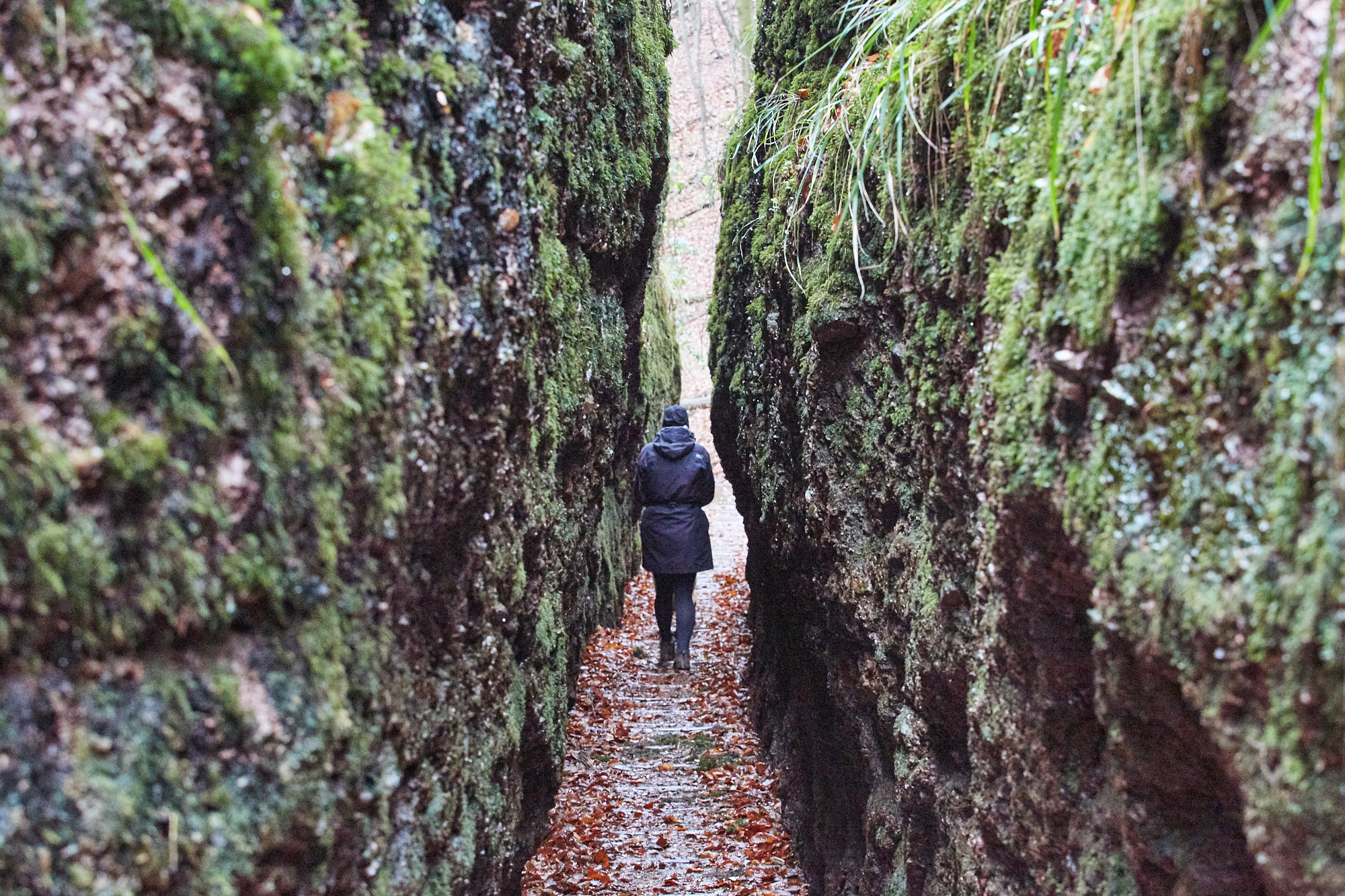 Drachenschlucht