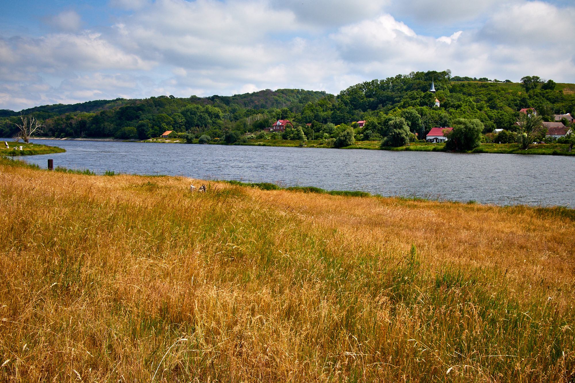 Auenpfad - Nationalpark Unteres Odertal