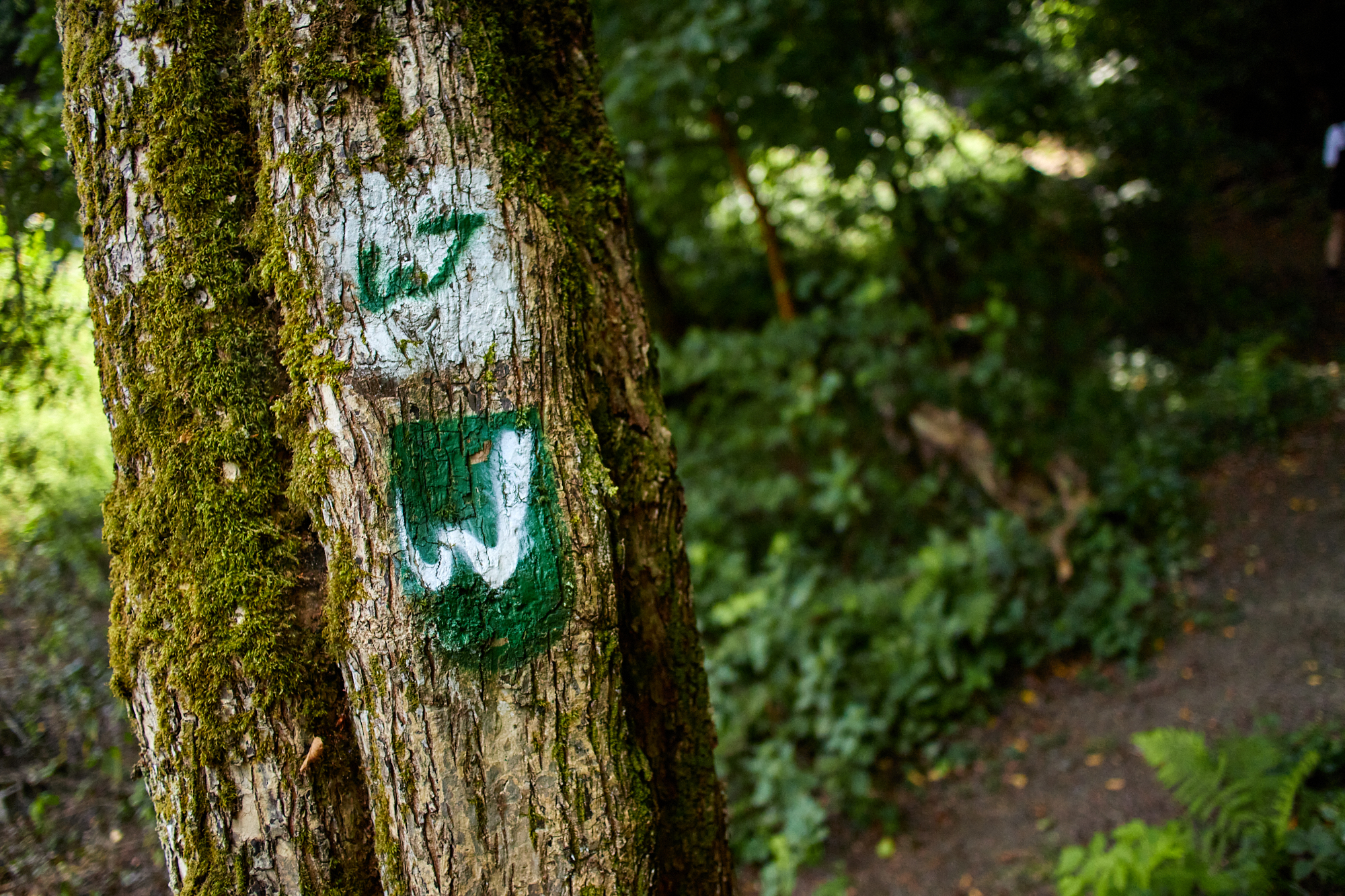 Westerwald - Wiedtal