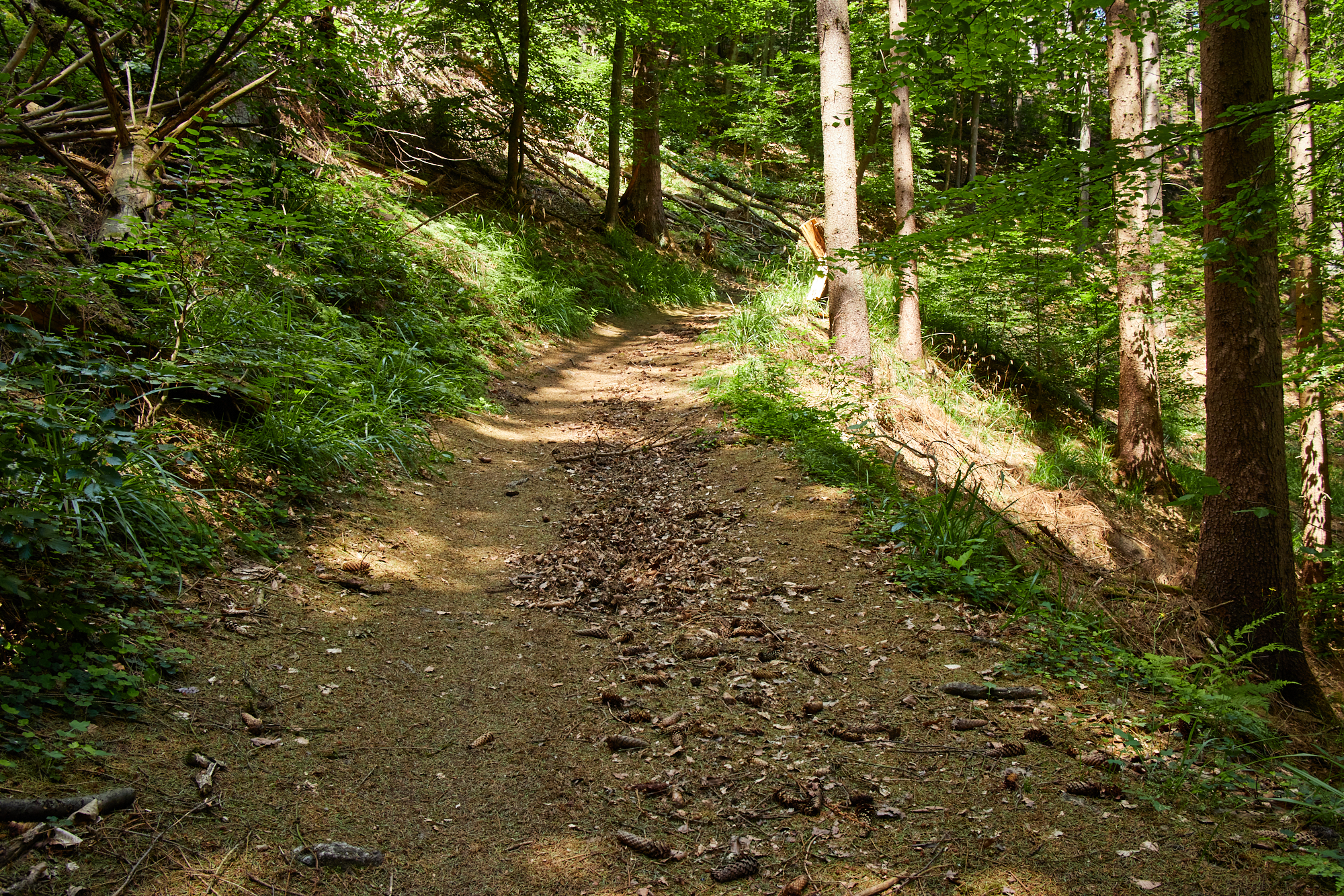 Westerwald - Wiedtal