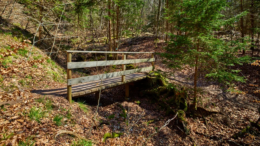 EifelSchleife Wildenburgsteig