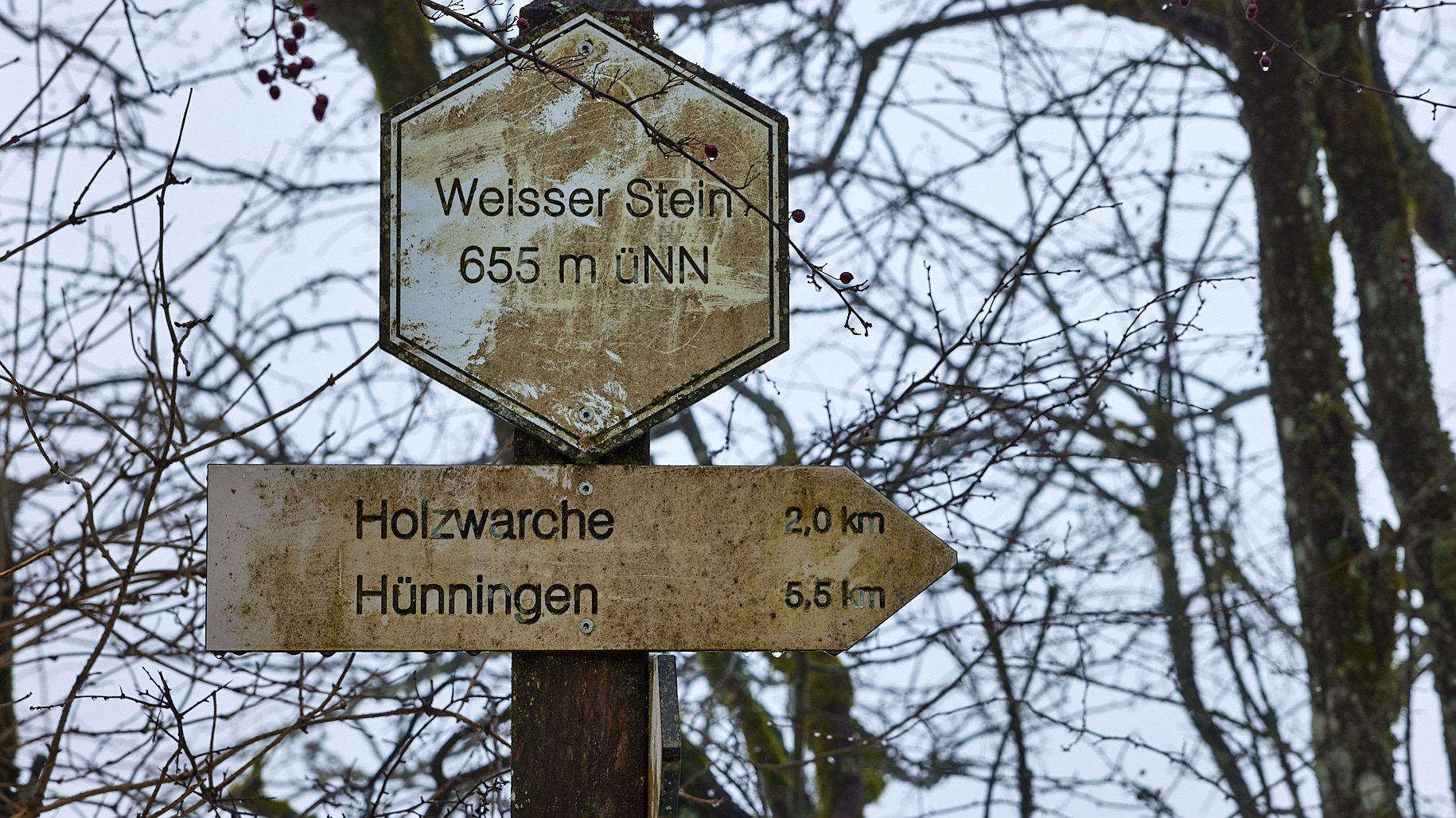 Am Weißen Stein - Eifel