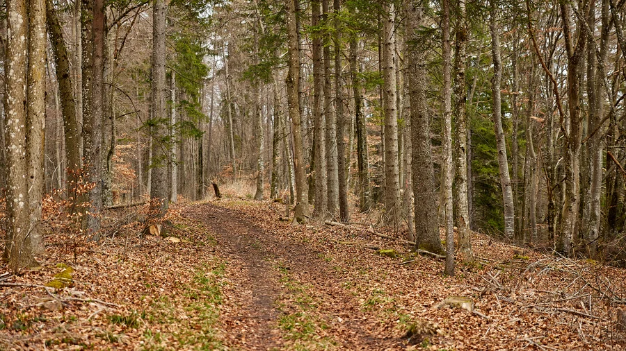 Genießerpfad Himmelberg Runde