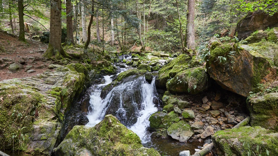 Ravennaschlucht