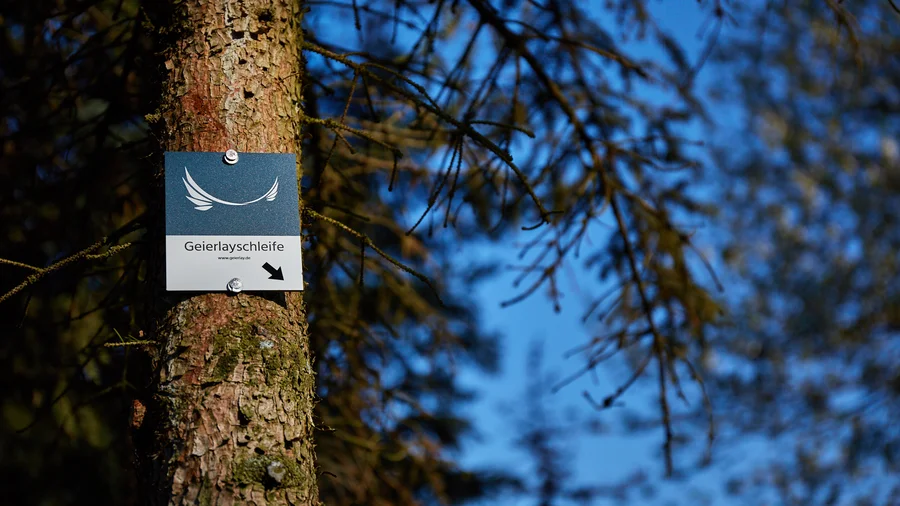 Hängeseilbrücke Geierlay bei Mörsdorf