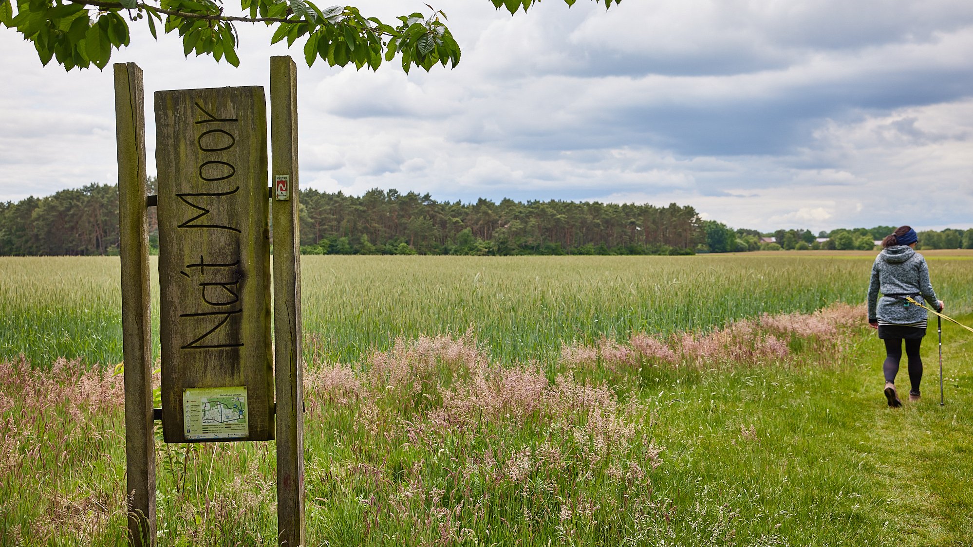 Nordpfad Dör't Moor