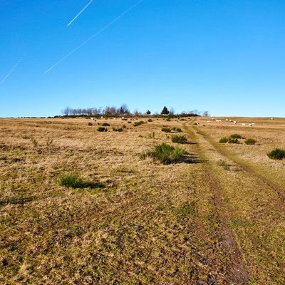Dreiborner Hochfläche