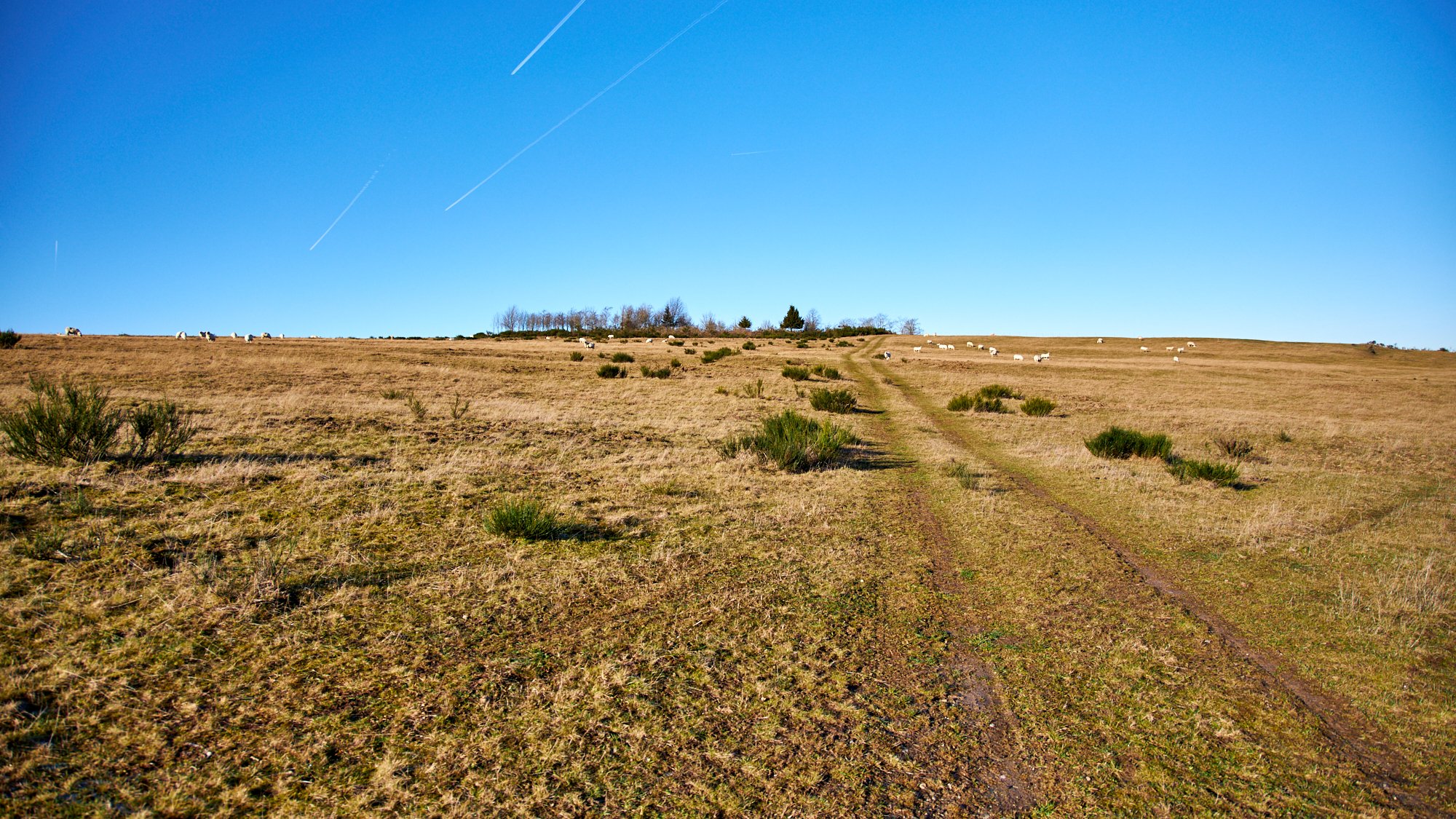 Silvester im Nationalpark Eifel
