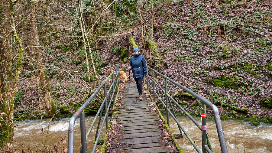Brexbachschlucht